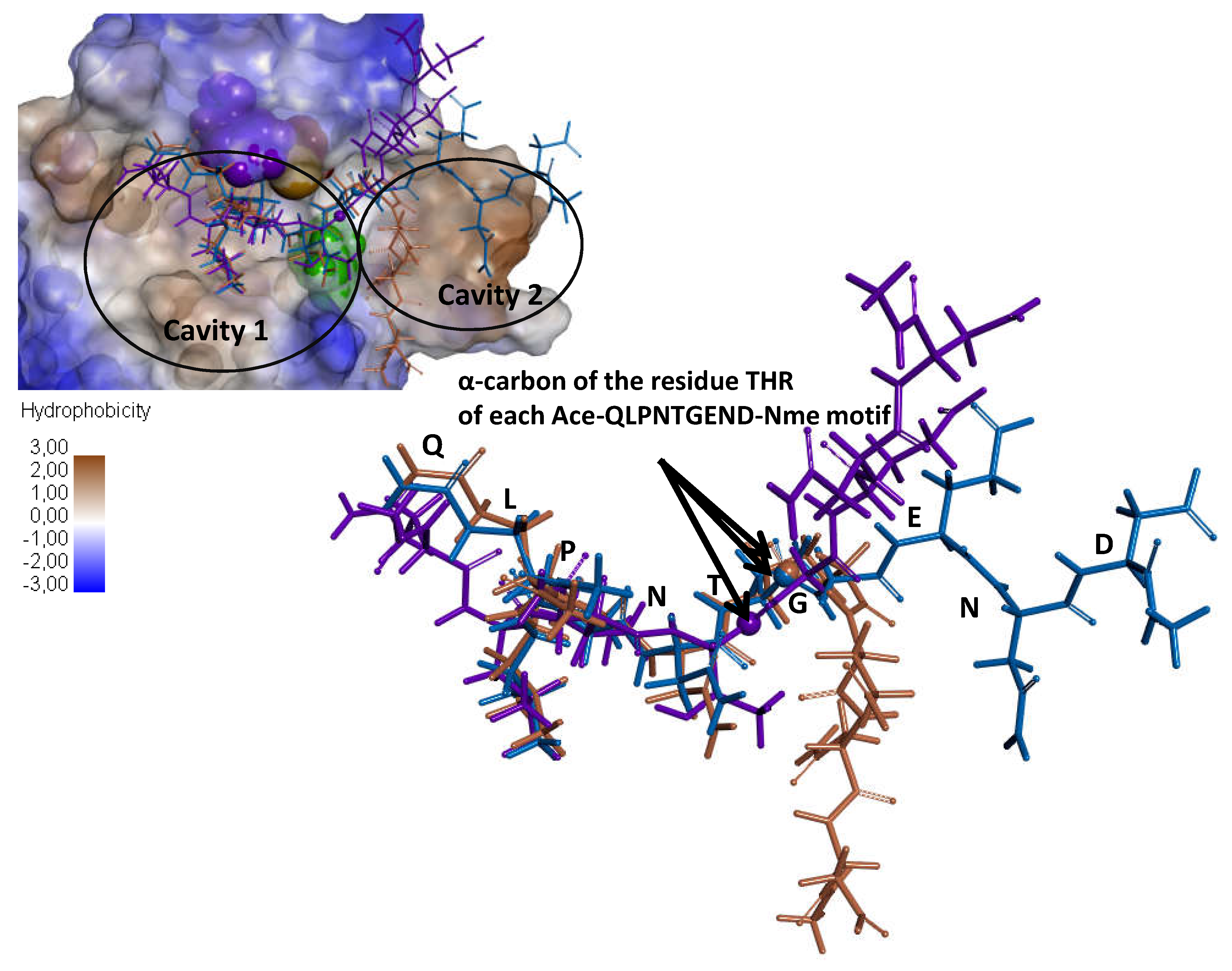 Microorganisms 09 02380 g0a3 Microorganisms 09 02380 g0a3