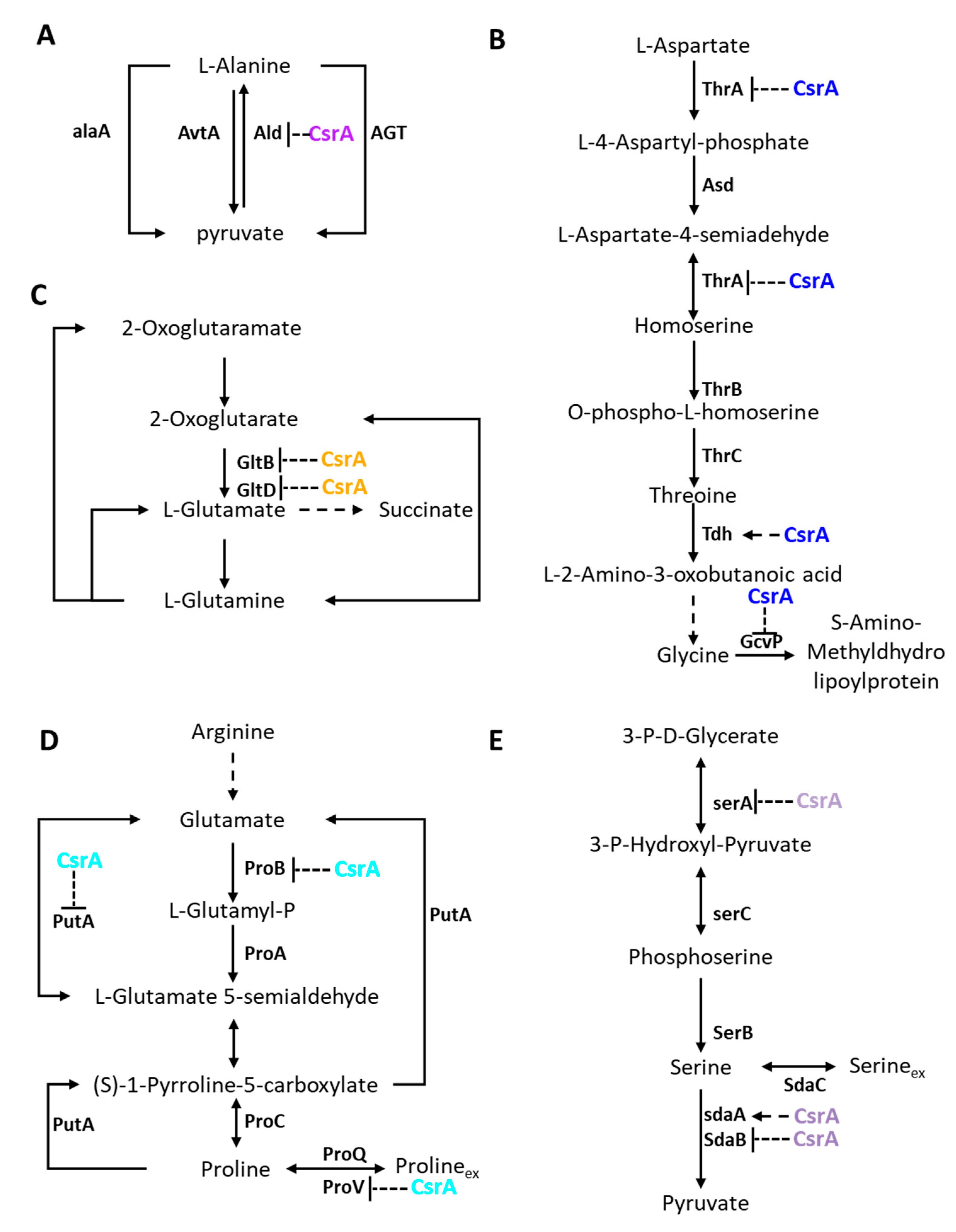 Microorganisms 09 02383 g007