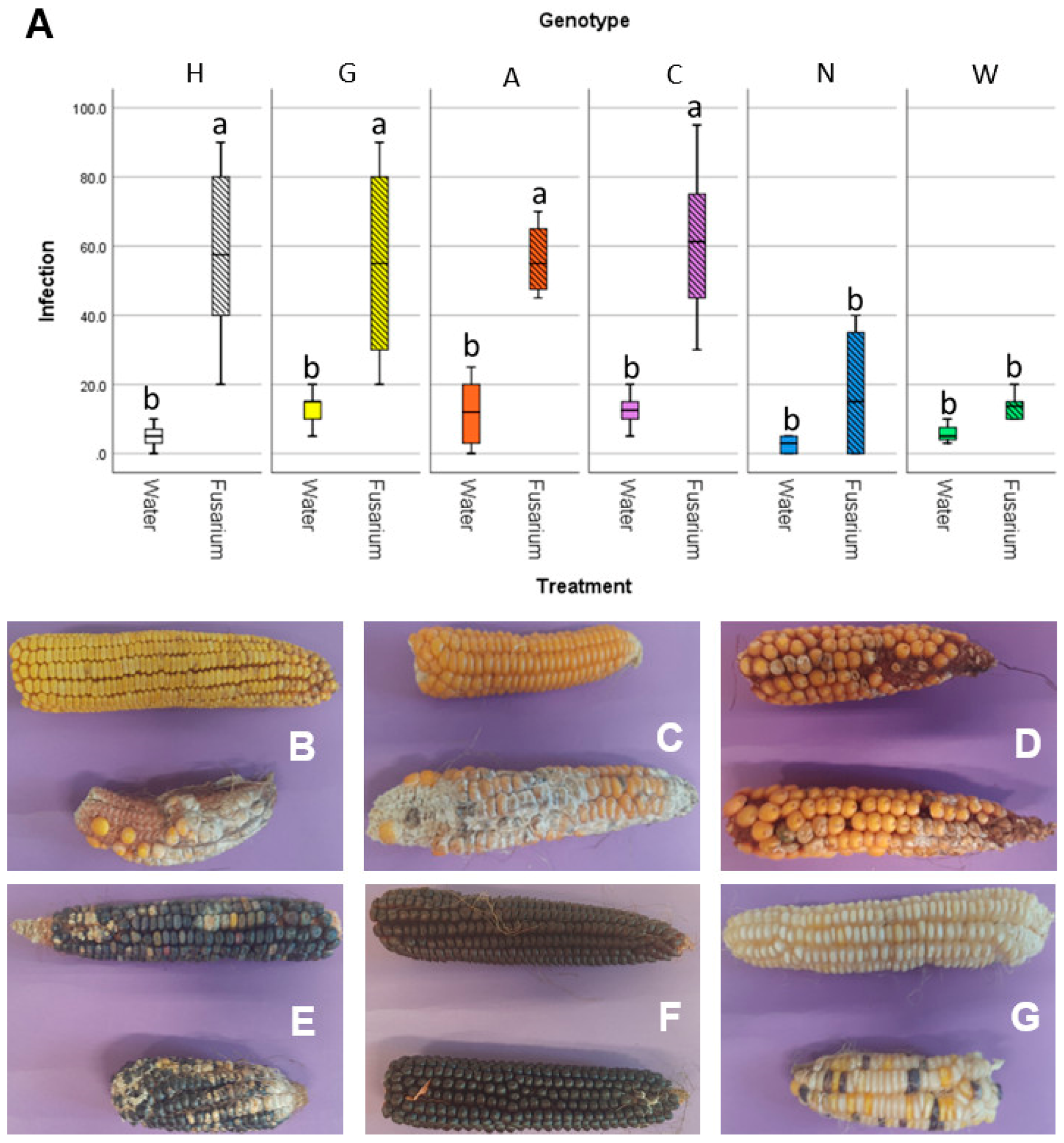 Microorganisms 09 02388 g006 550