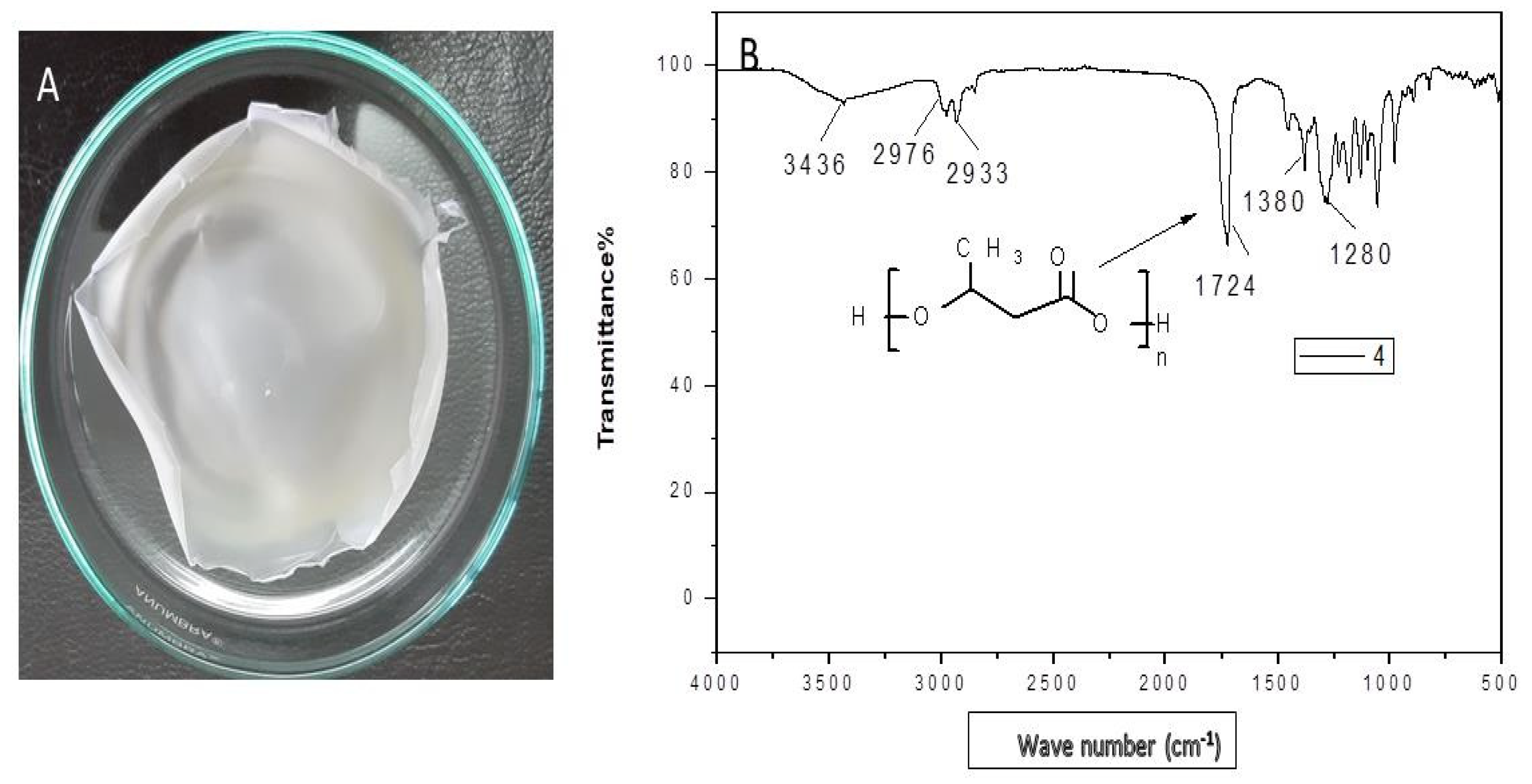 Microorganisms 09 02395 g003