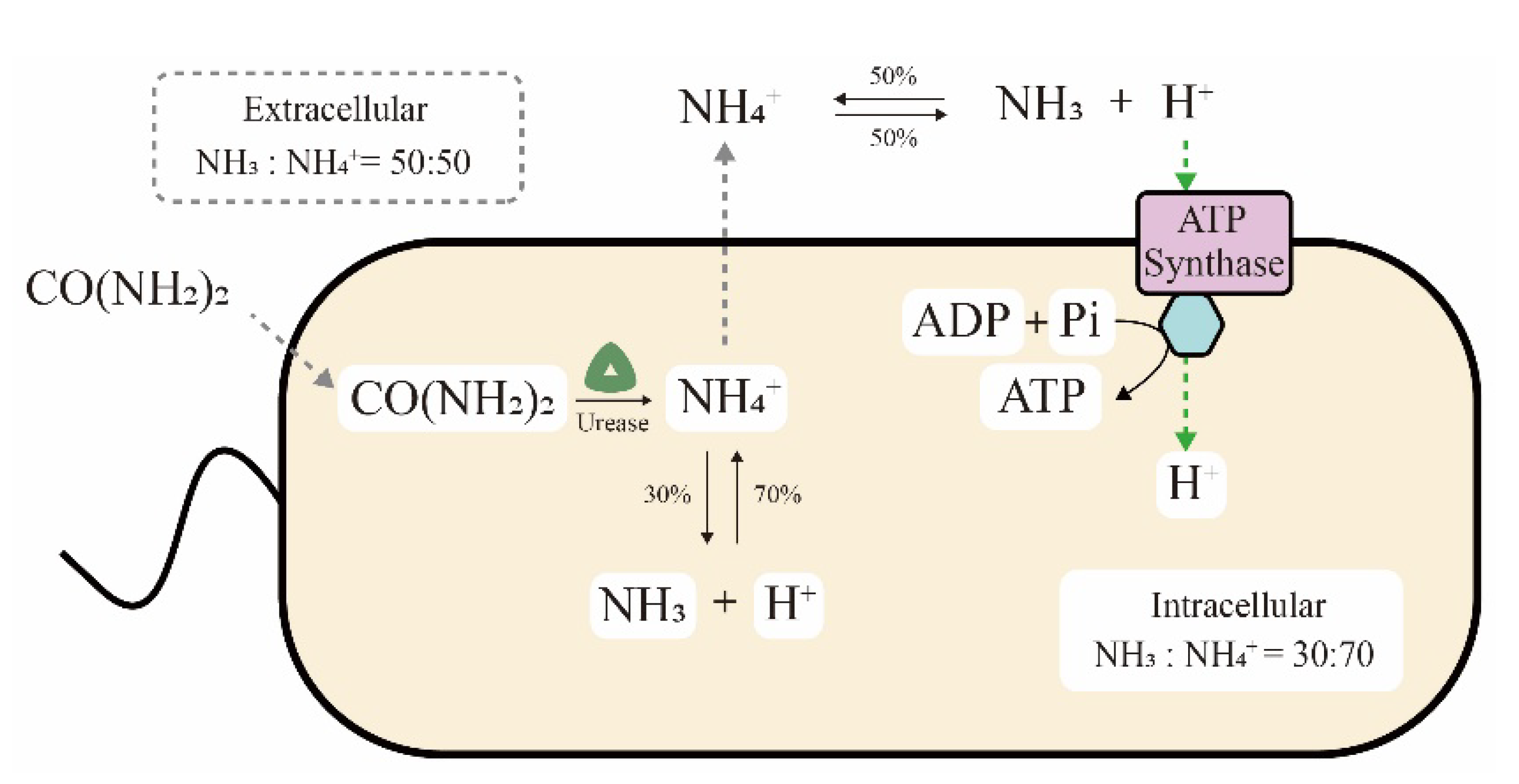 Microorganisms 09 02396 g003