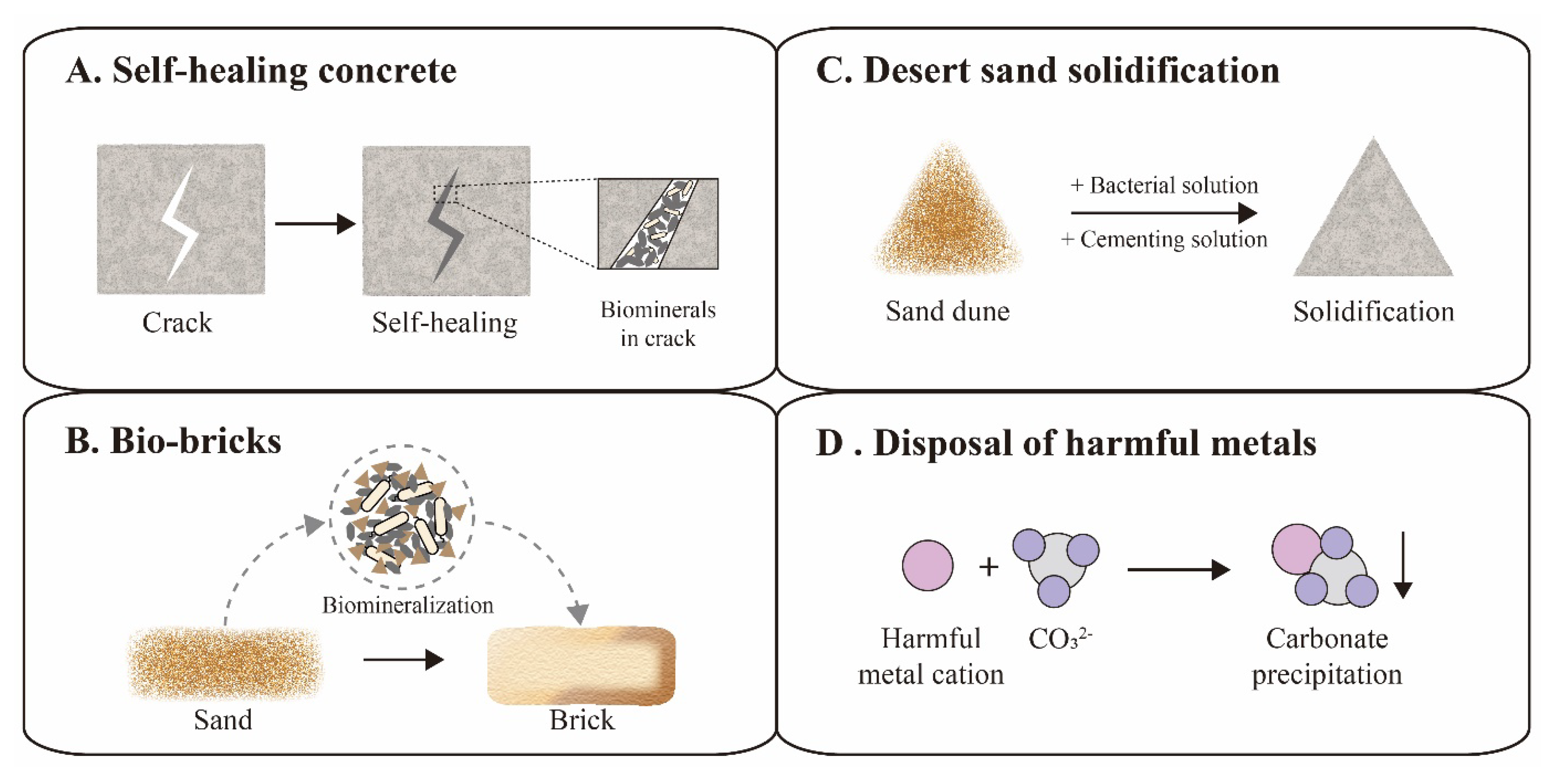Microorganisms 09 02396 g004
