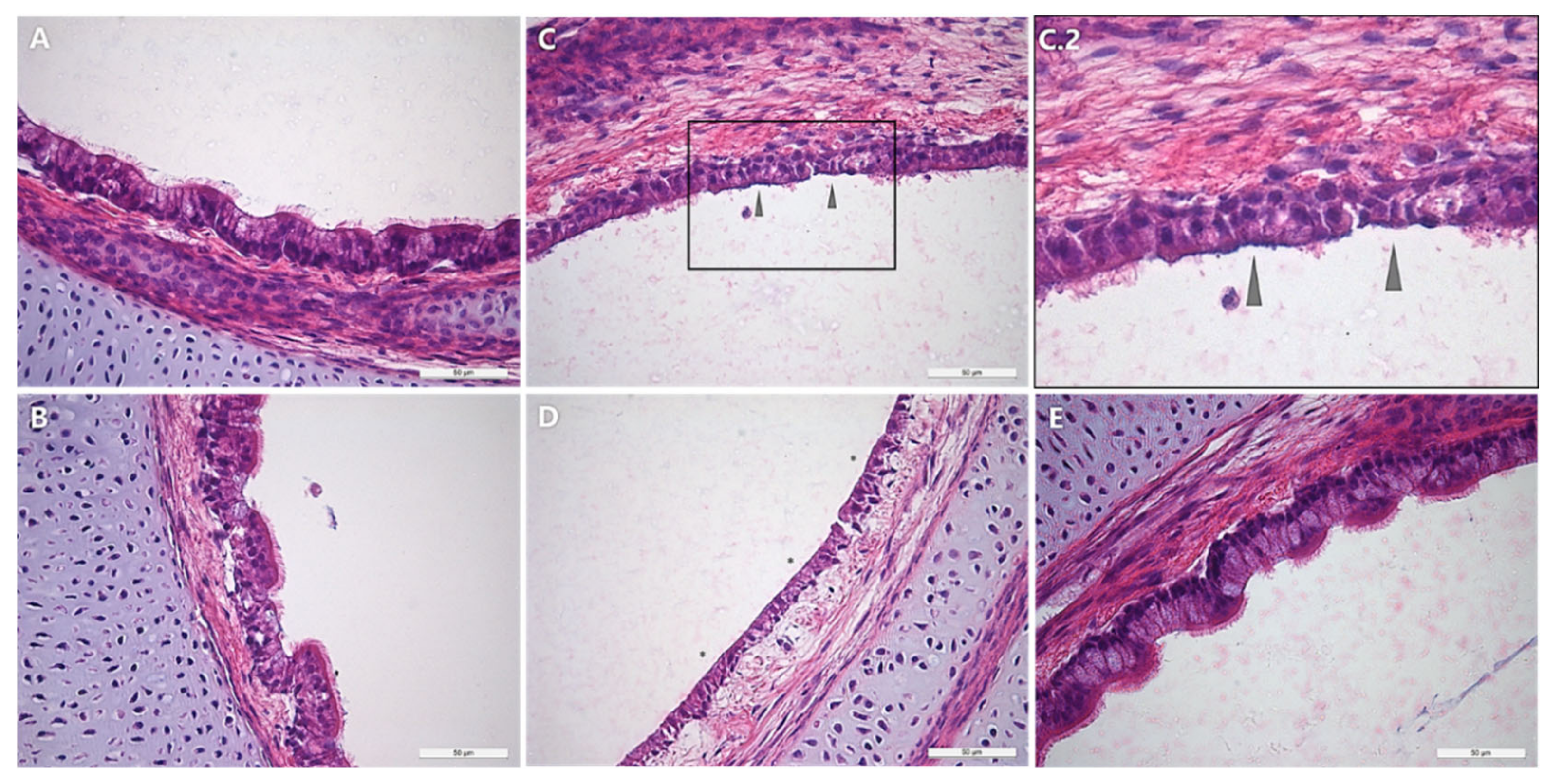 Microorganisms 09 02407 g005 Microorganisms 09 02407 g005