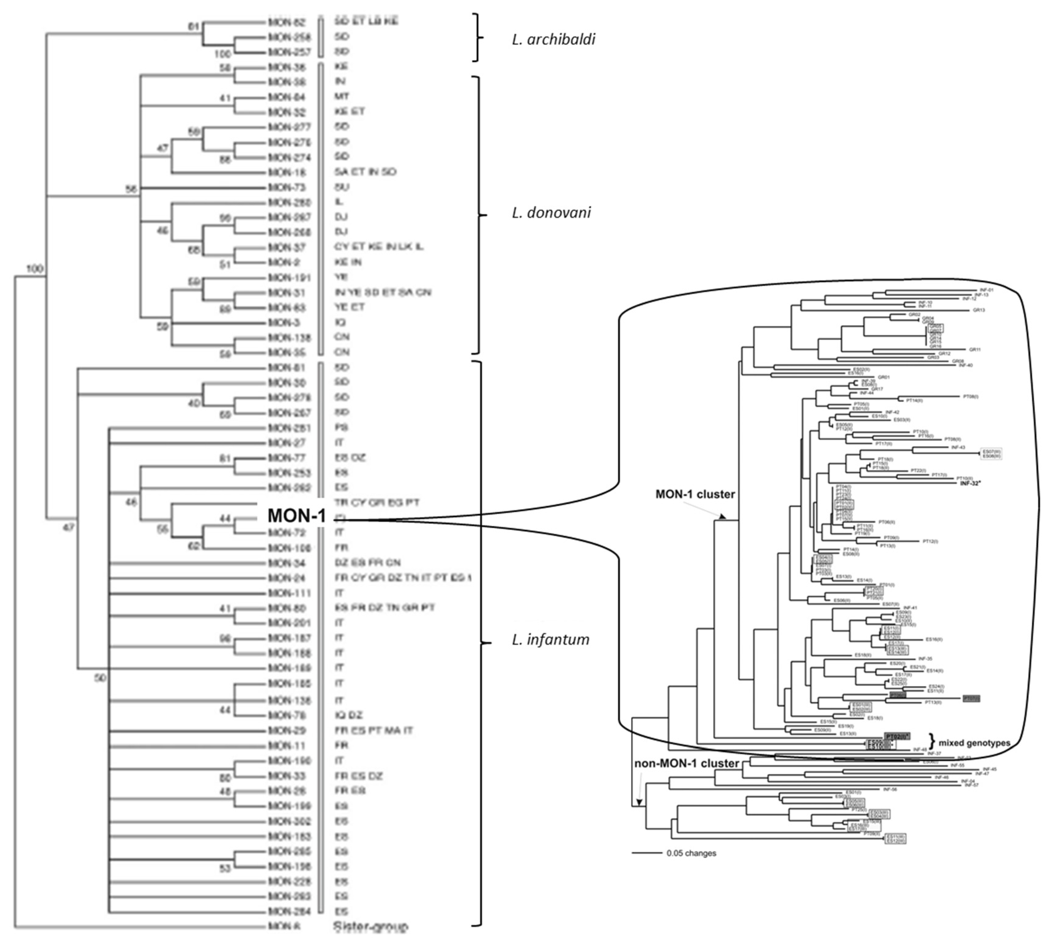 Microorganisms 09 02409 g001 Microorganisms 09 02409 g001