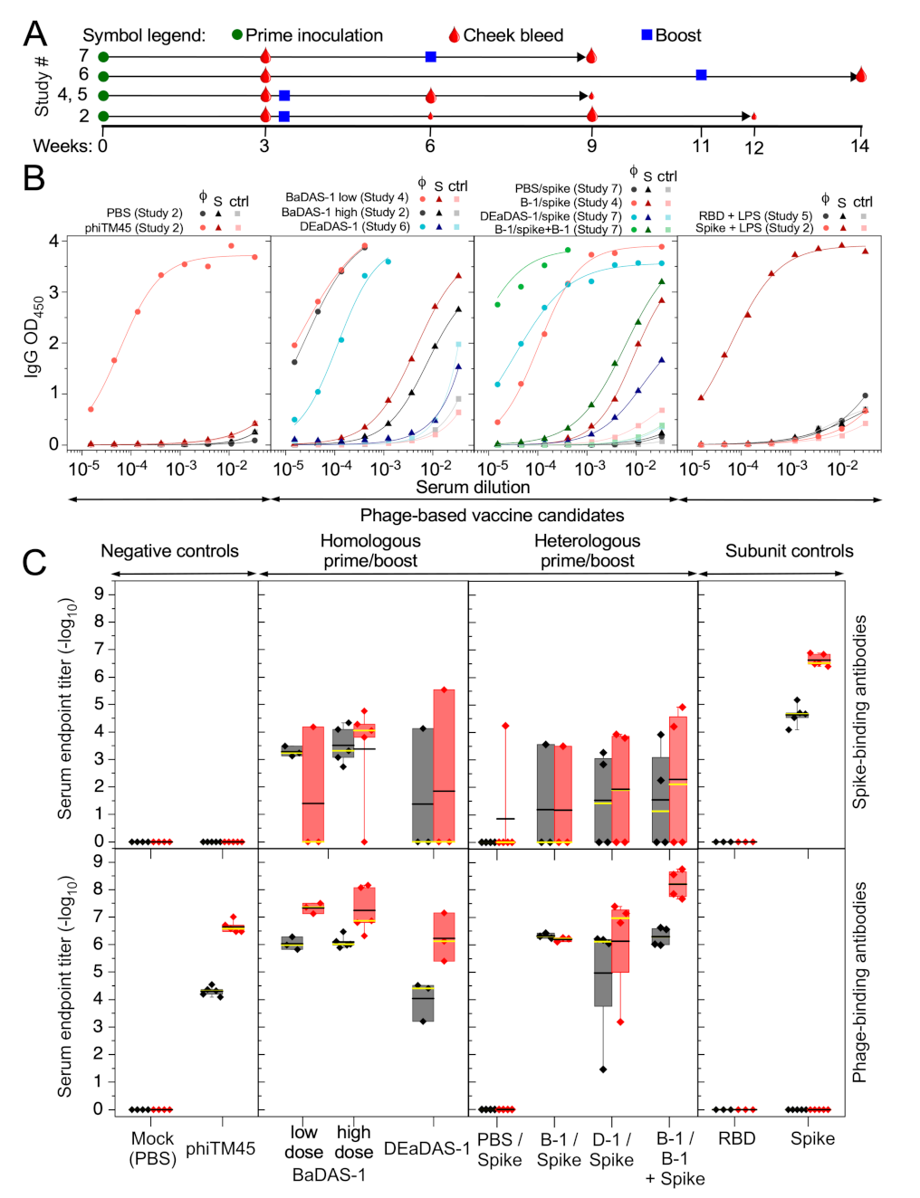 Microorganisms 09 02414 g005
