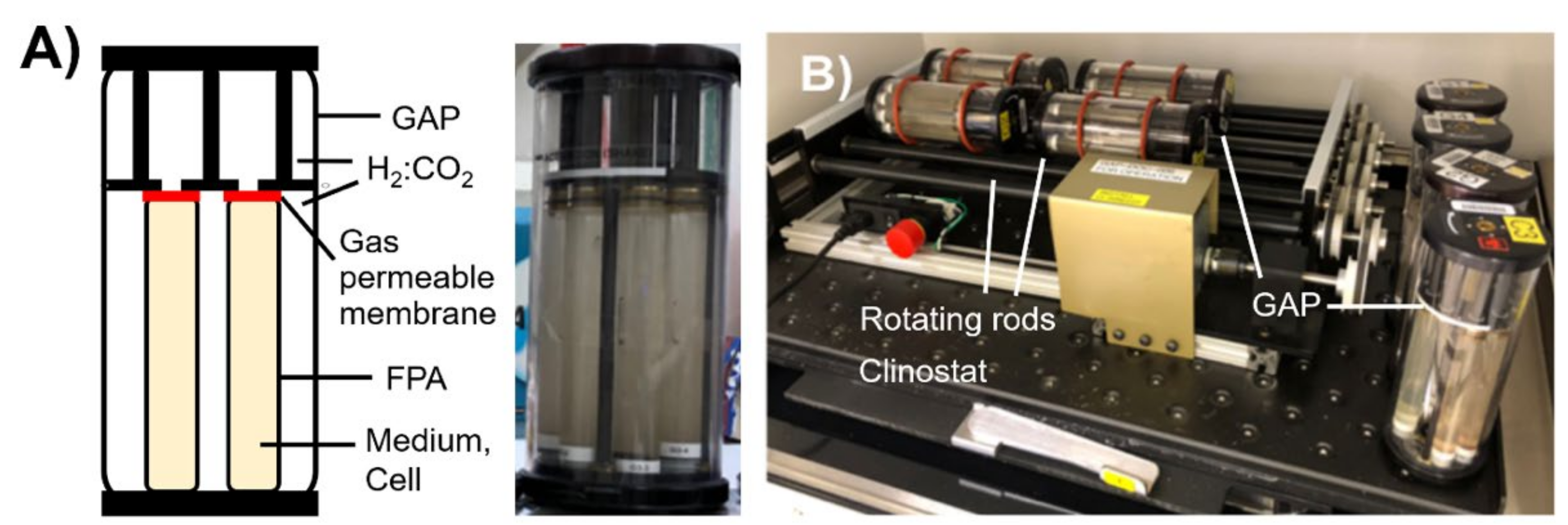 Microorganisms 09 02416 g001 550