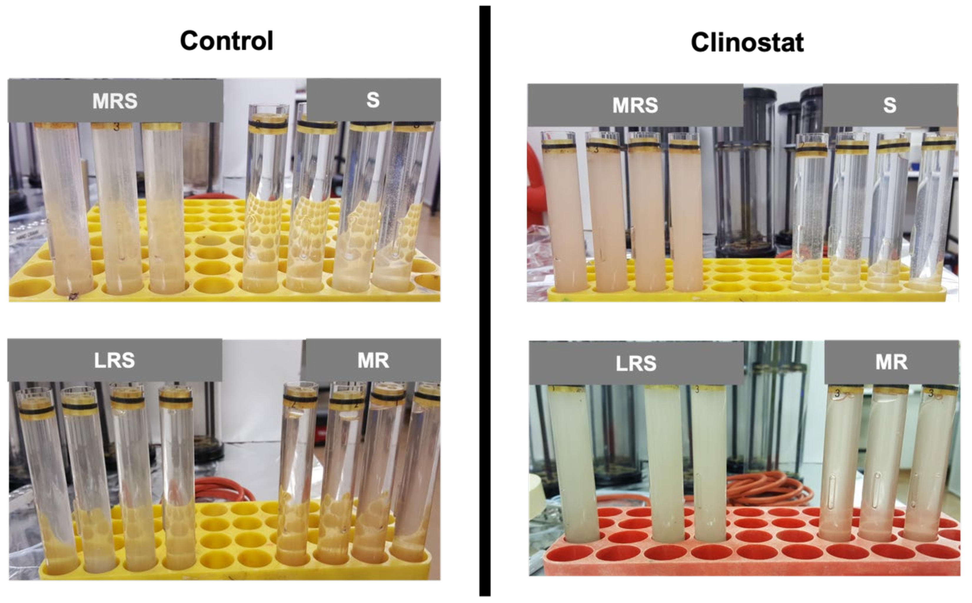 Microorganisms 09 02416 g002 550