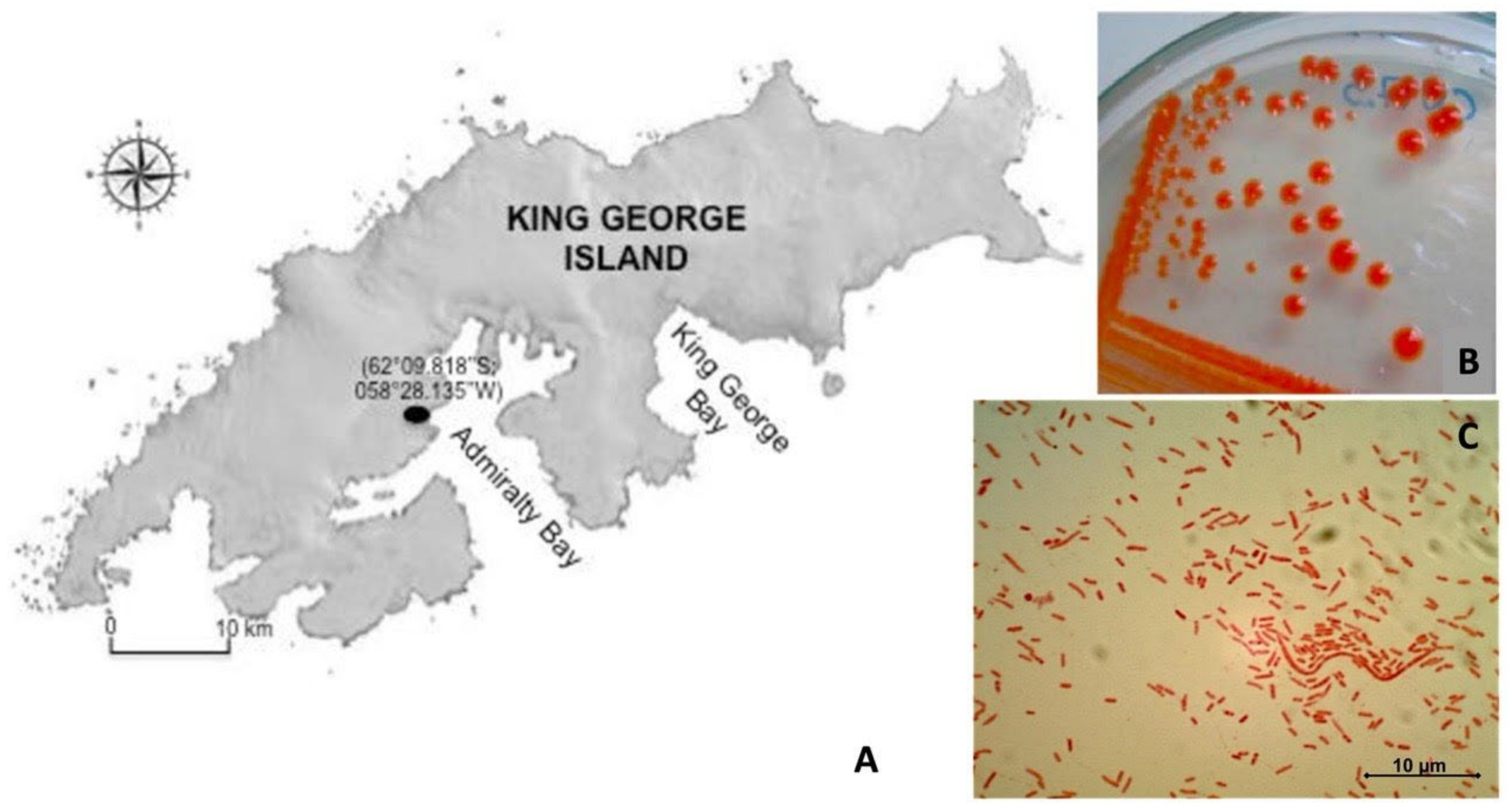 Microorganisms 09 02419 g001 550