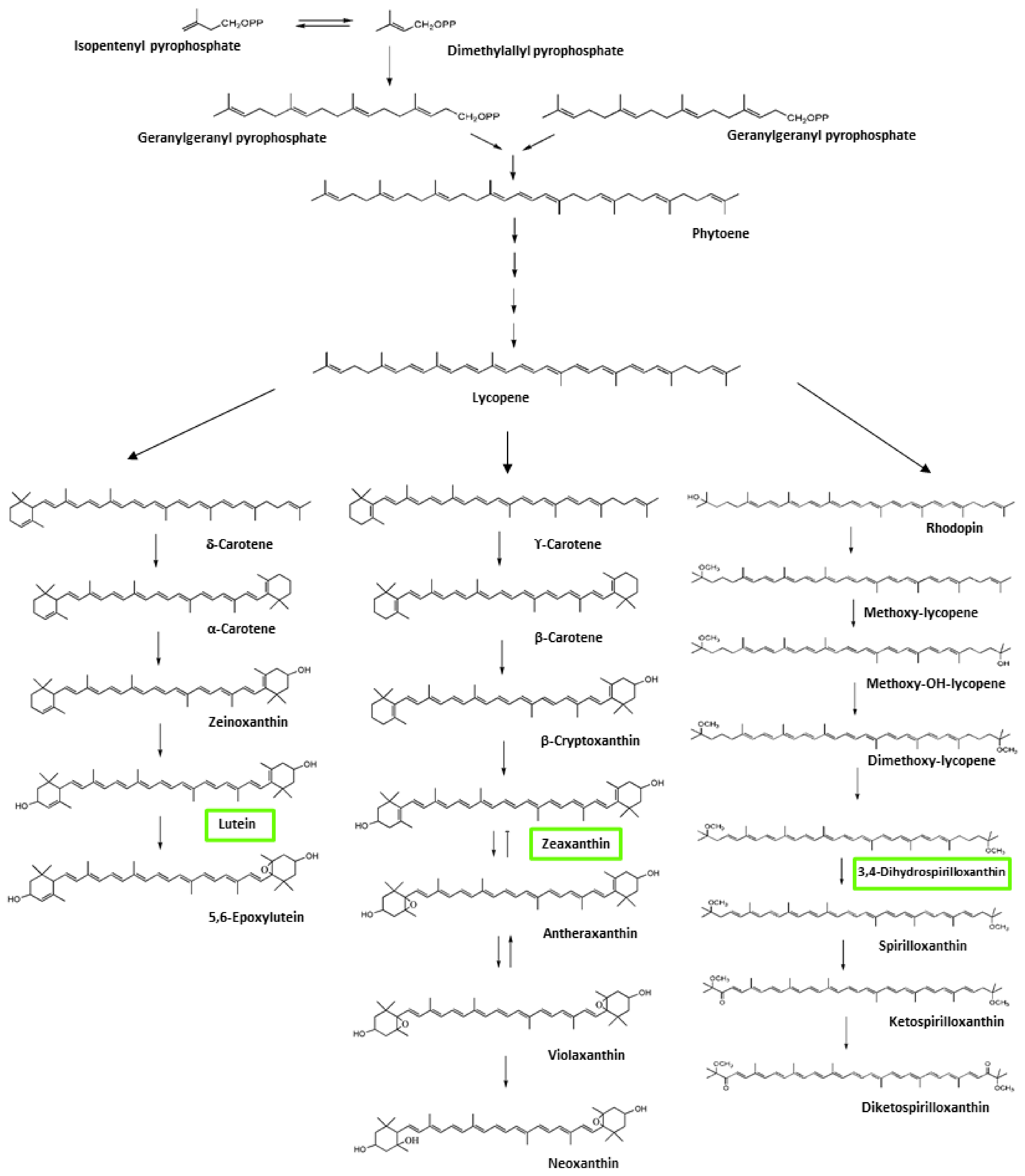 Microorganisms 09 02419 g005 550