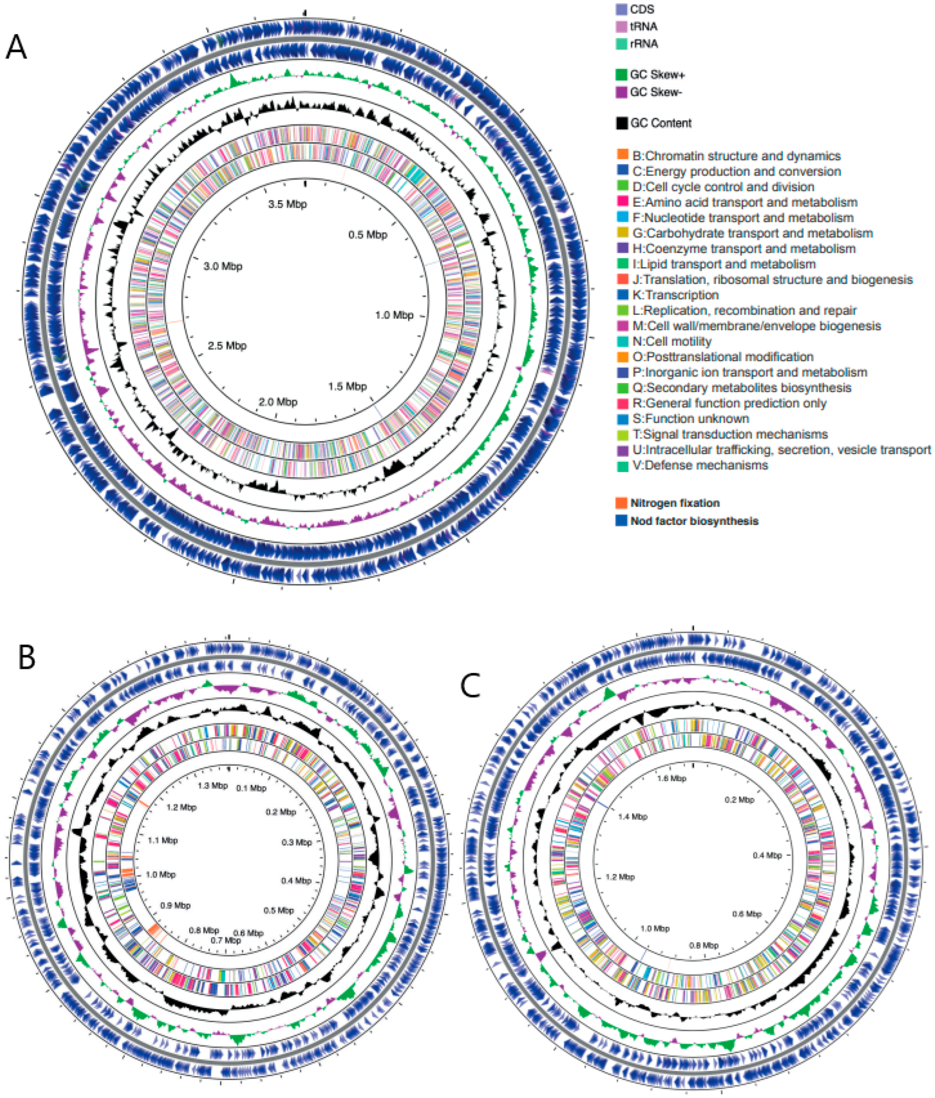 Microorganisms 09 02428 g001