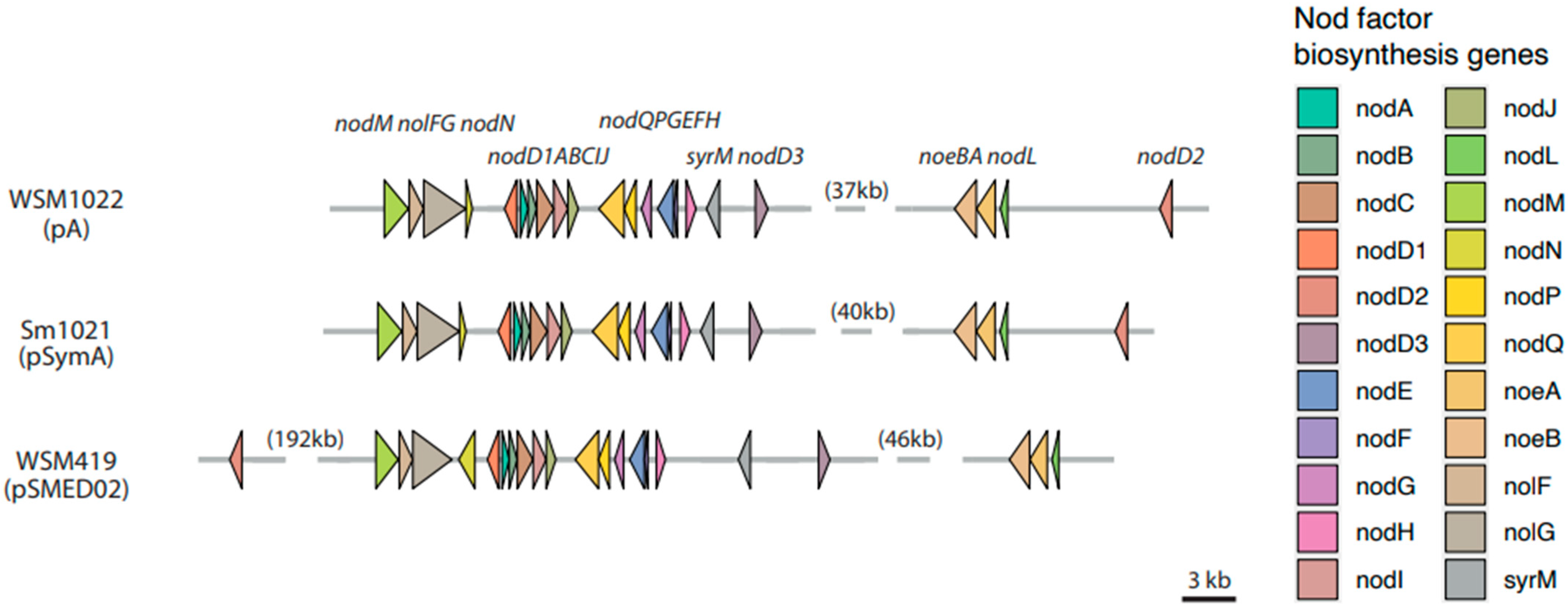 Microorganisms 09 02428 g003