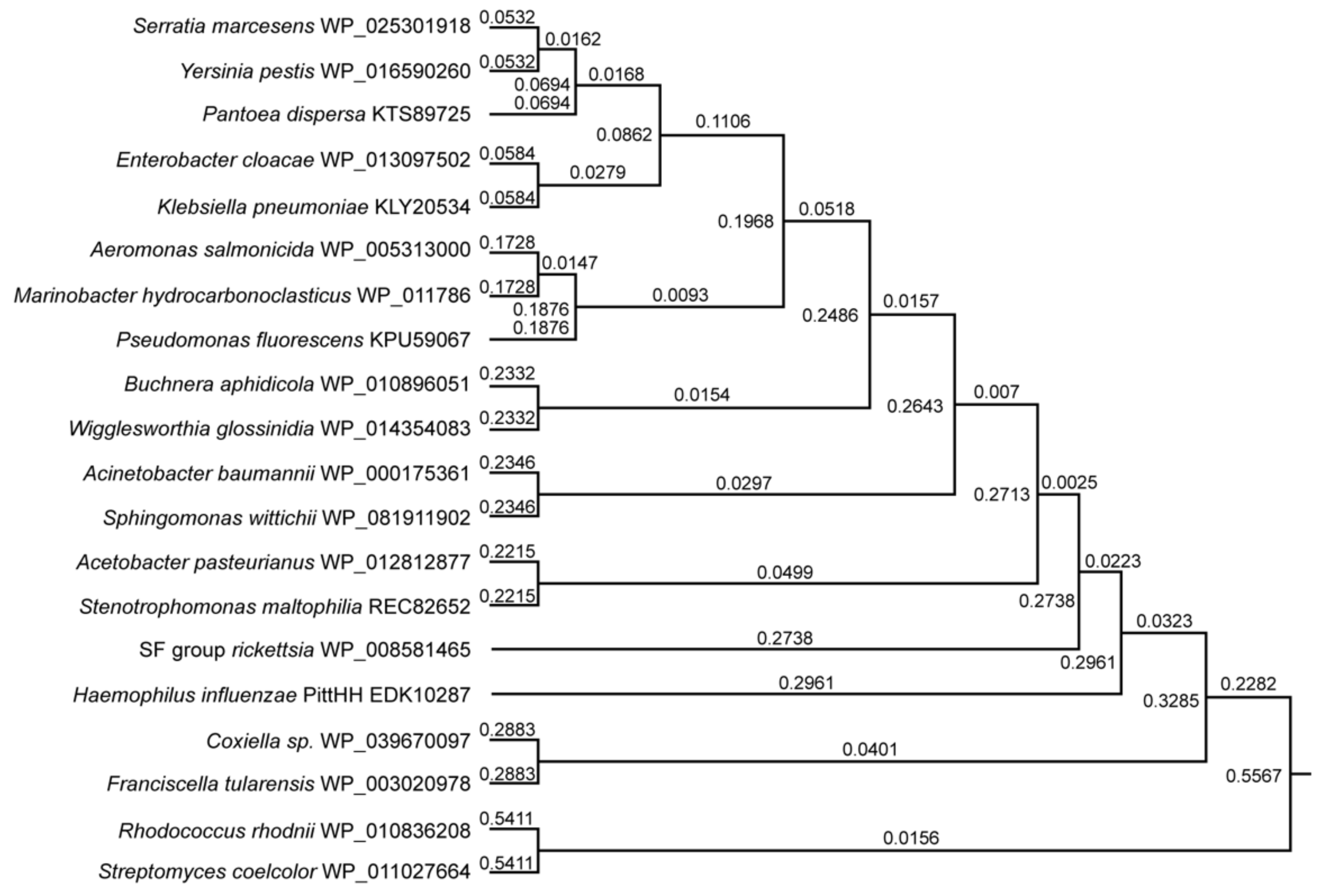 Microorganisms 09 02433 g004 550