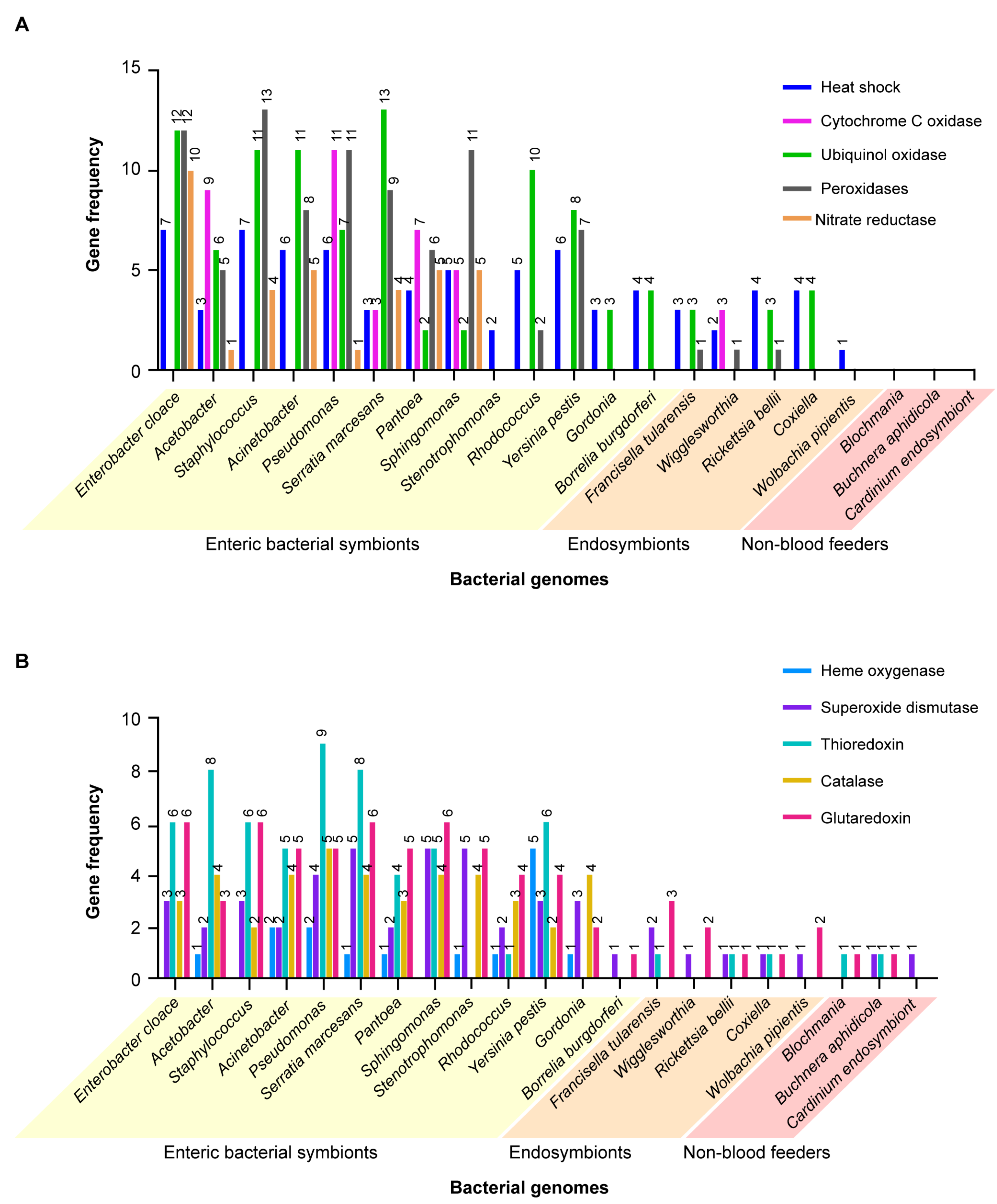 Microorganisms 09 02433 g006 550