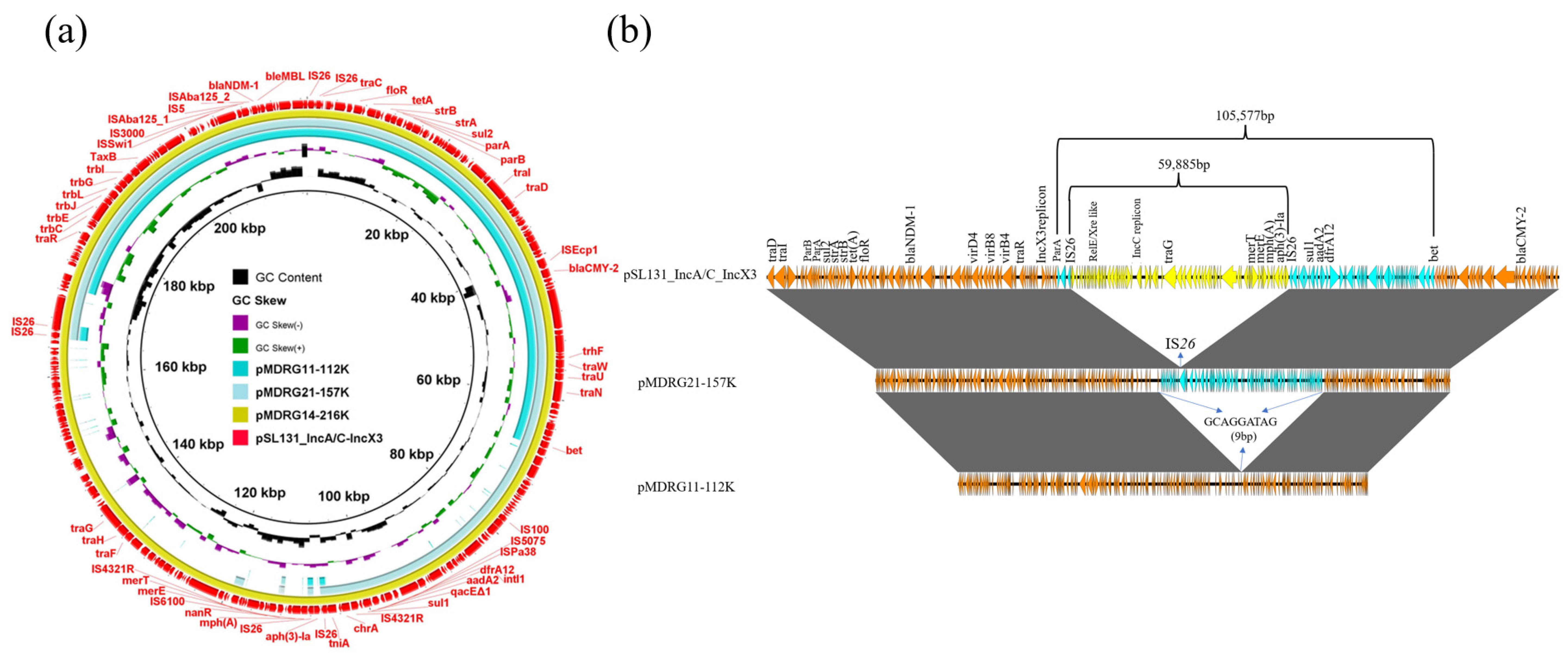Microorganisms 09 02435 g002