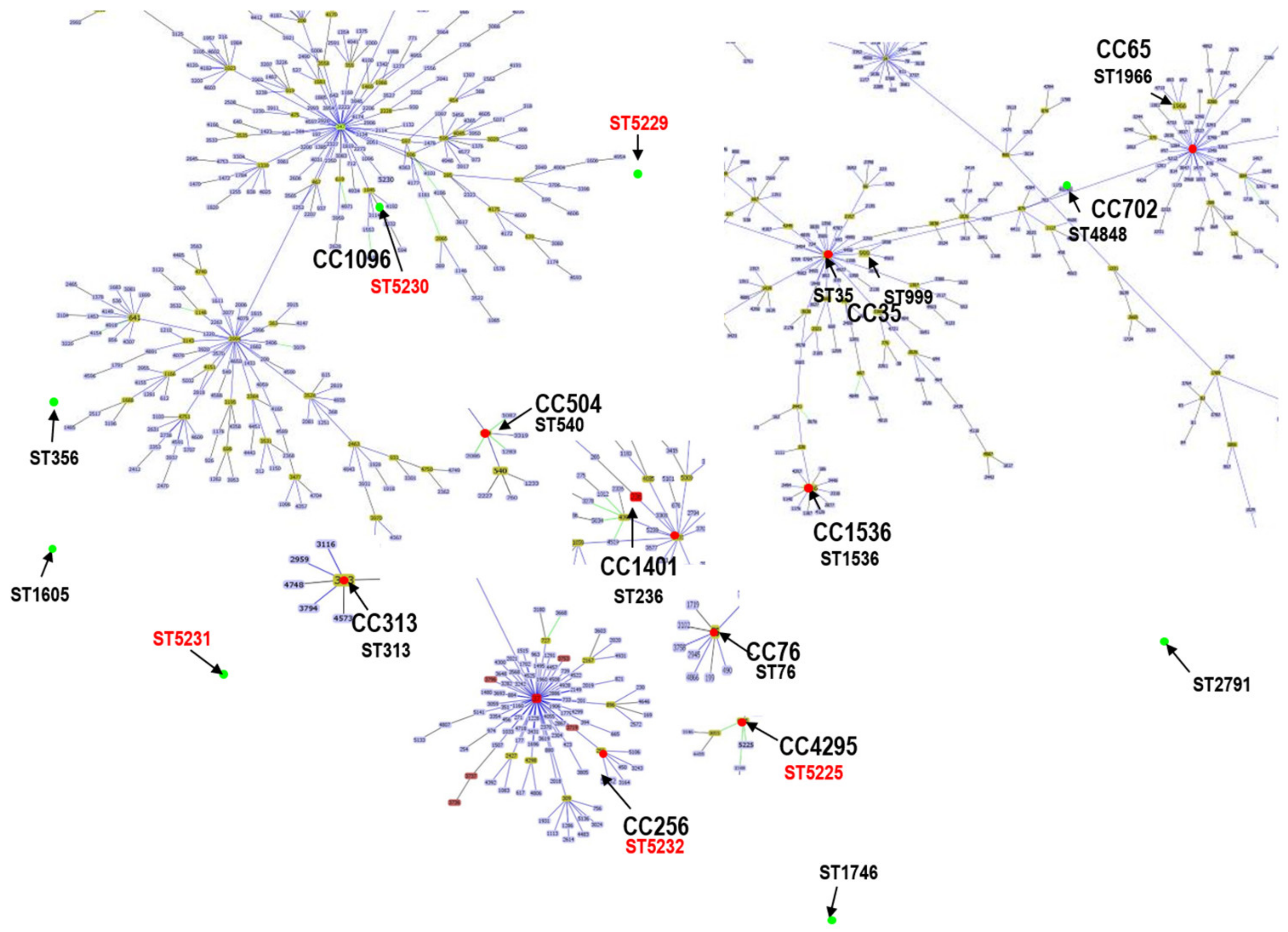 Microorganisms 09 02436 g002 550