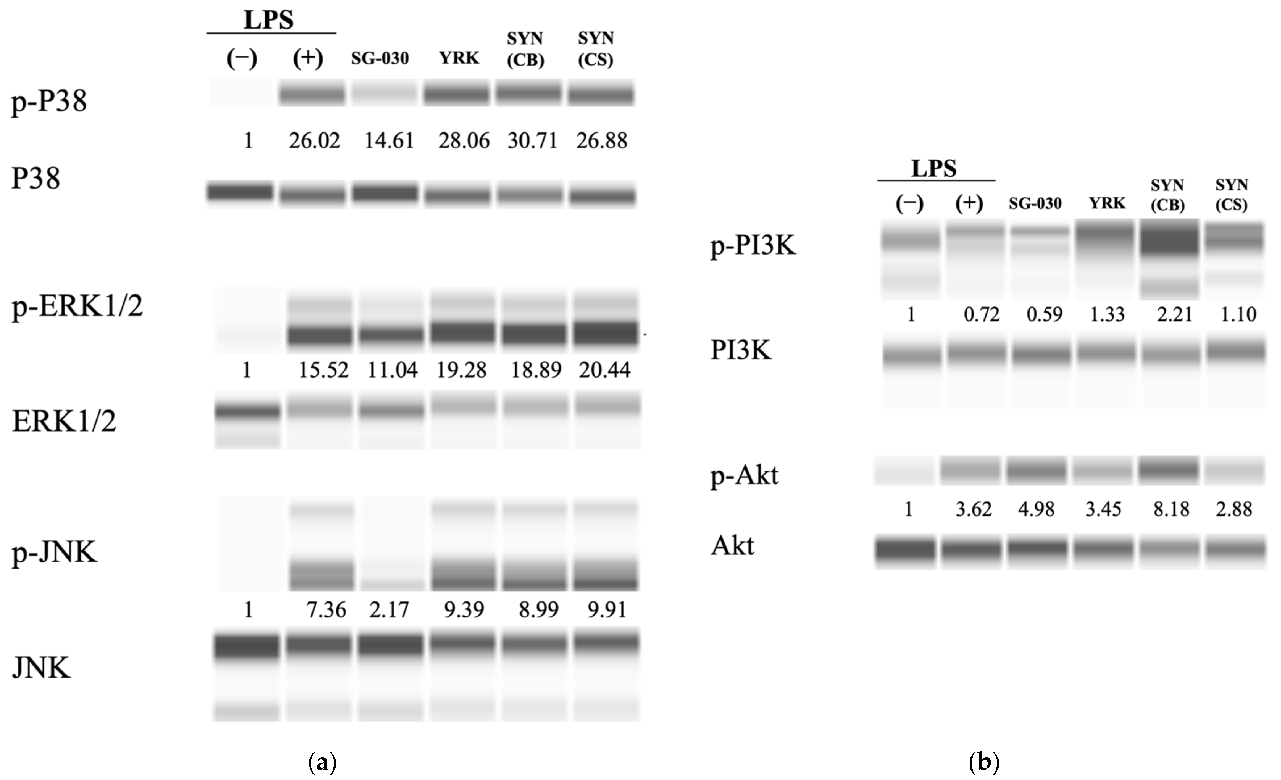 Microorganisms 09 02437 g005