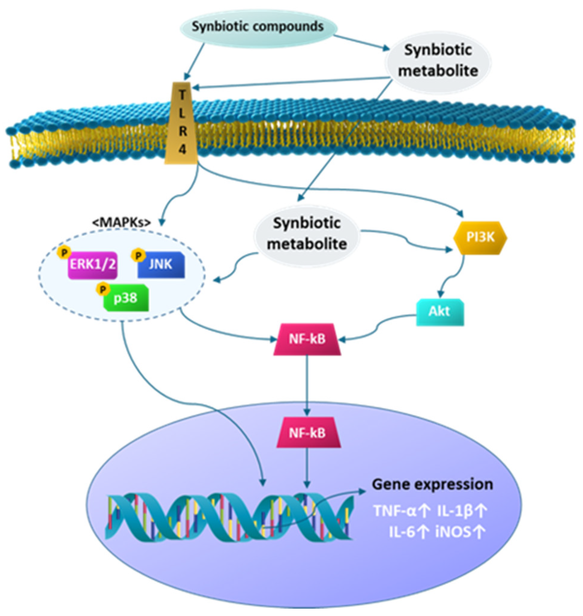 Microorganisms 09 02437 g006