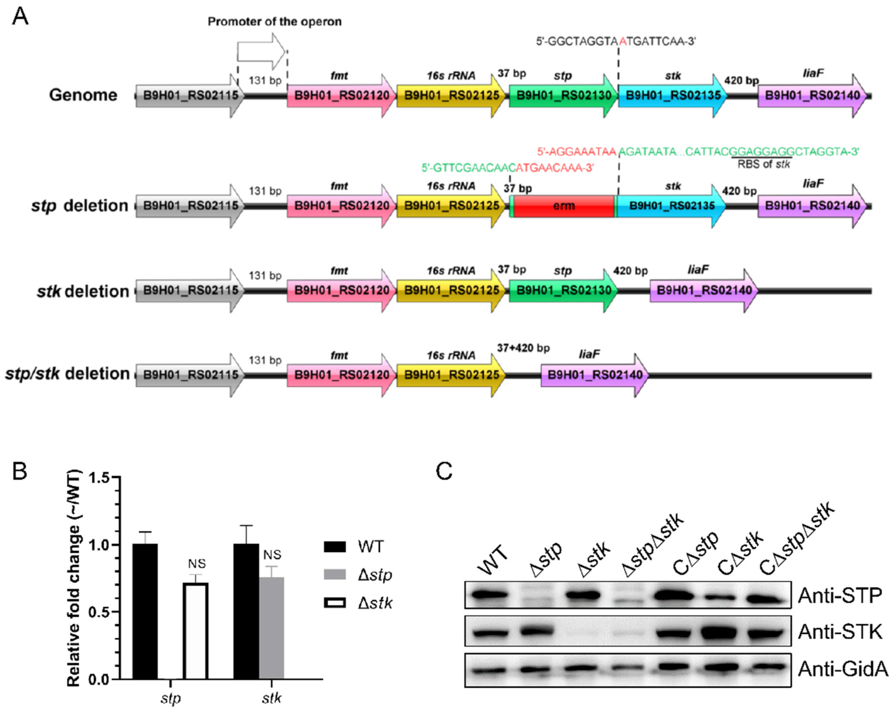 Microorganisms 09 02442 g001 Microorganisms 09 02442 g001