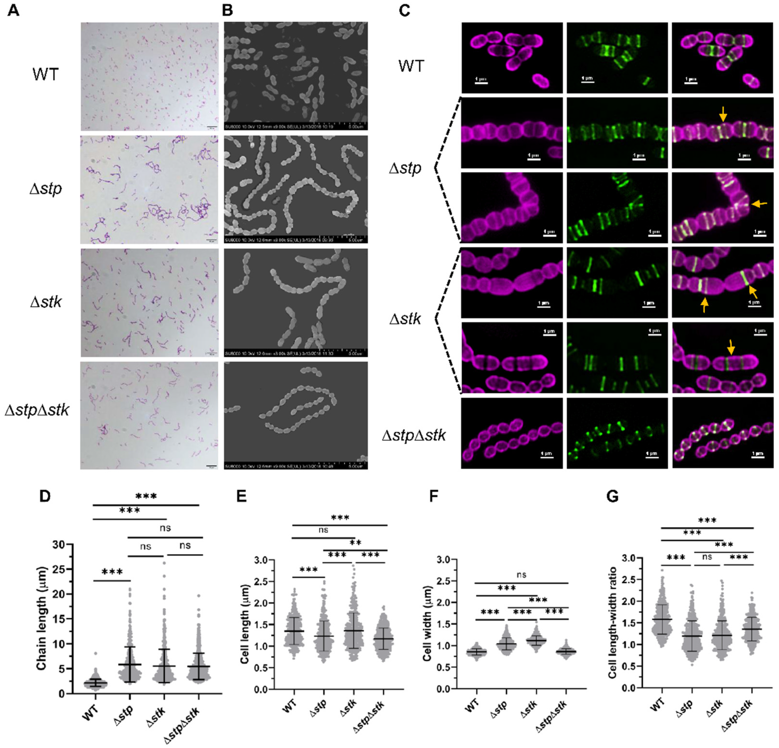 Microorganisms 09 02442 g004 Microorganisms 09 02442 g004