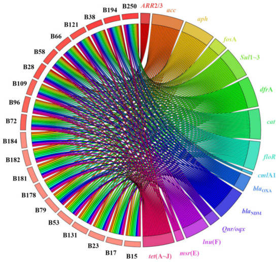 Characterization of NDM-1-Producing Carbapenemase in Proteus