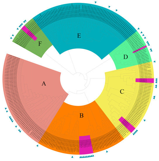 Microorganisms | Free Full-Text | Characterization of NDM-1 