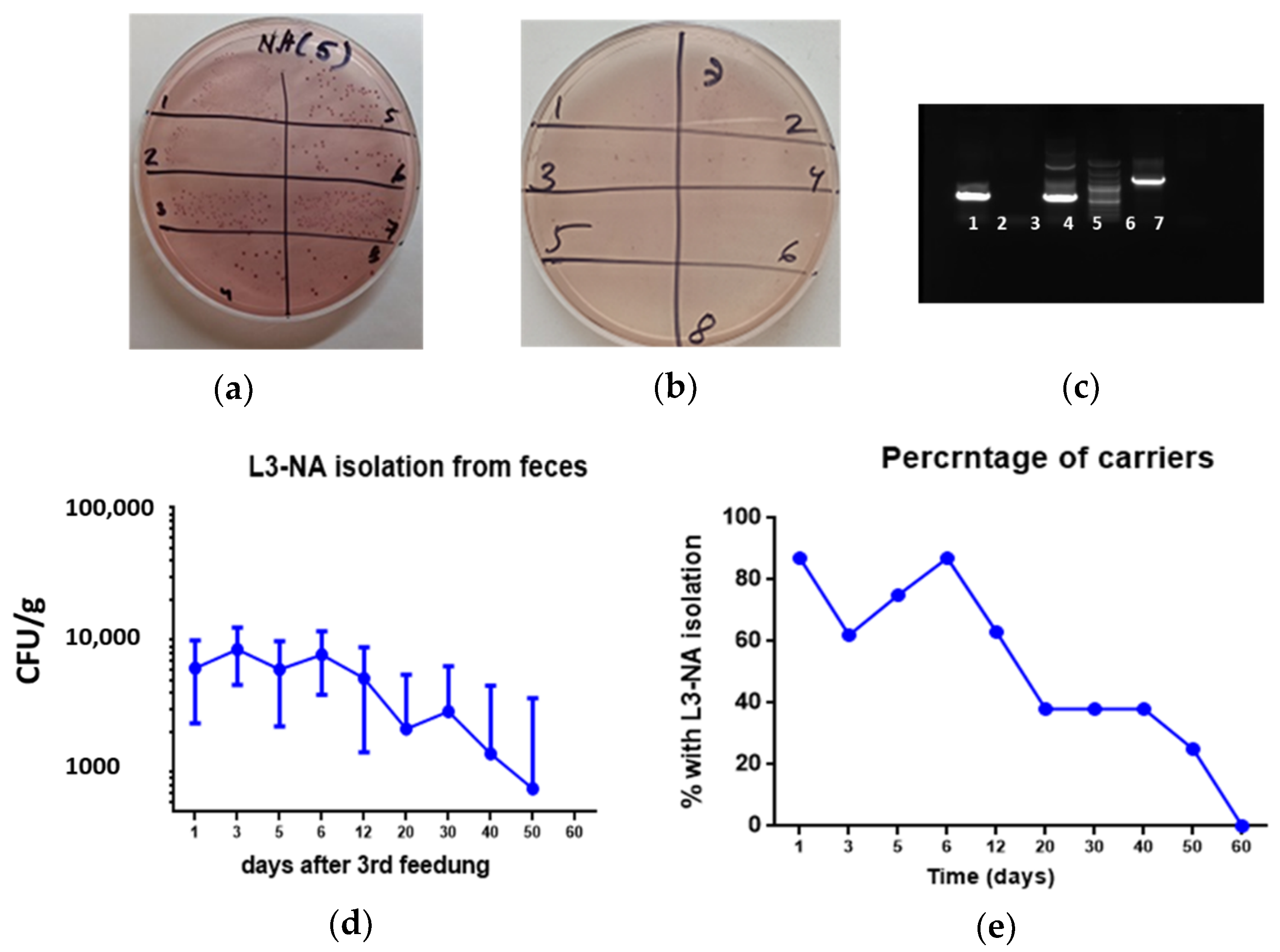 Microorganisms 09 02446 g005 Microorganisms 09 02446 g005
