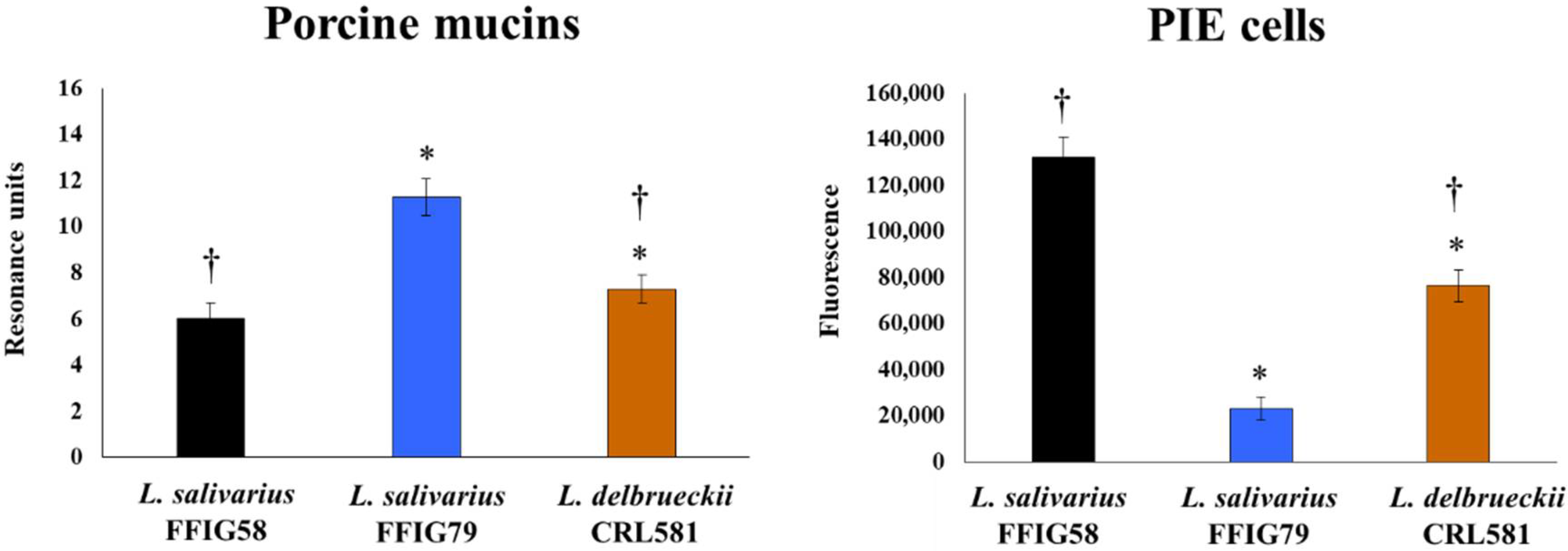 Microorganisms 09 02449 g001 Microorganisms 09 02449 g001