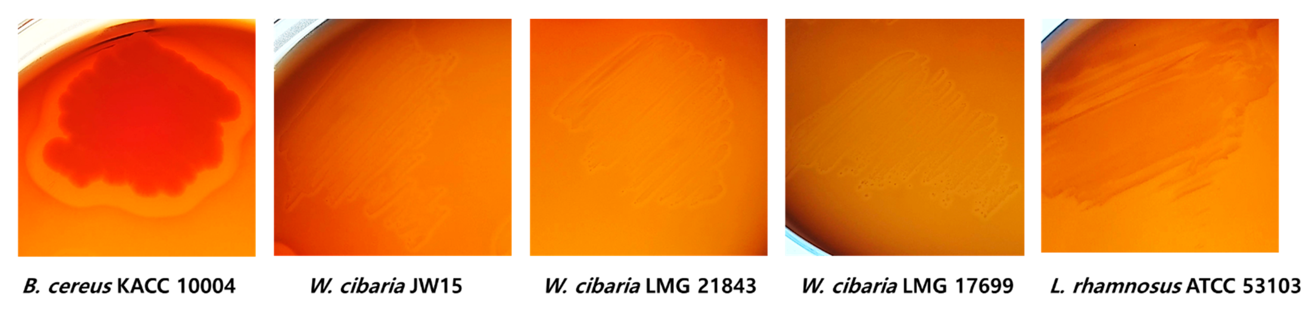 Microorganisms 09 02450 g002