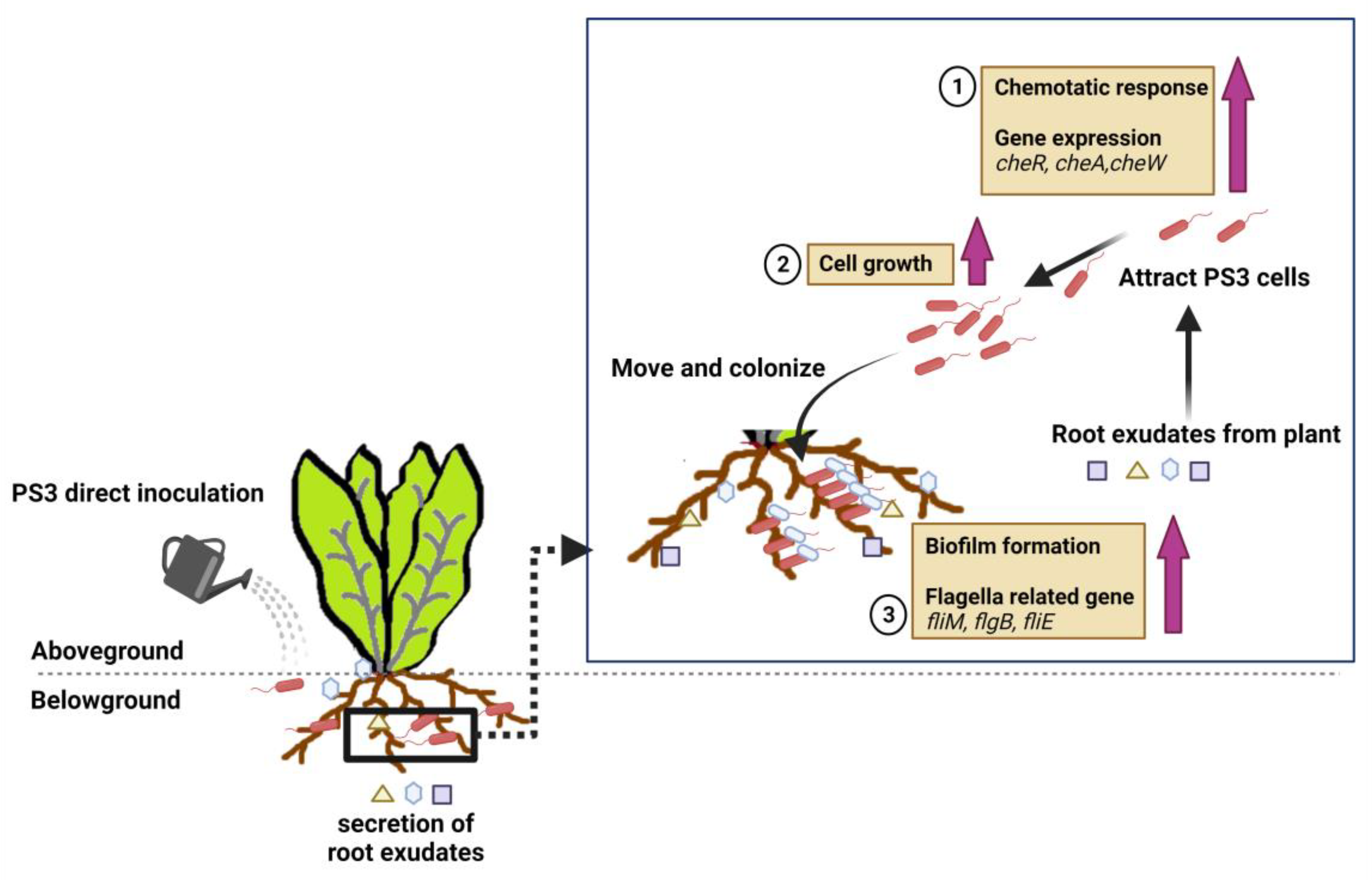 Microorganisms 09 02453 g003 Microorganisms 09 02453 g003