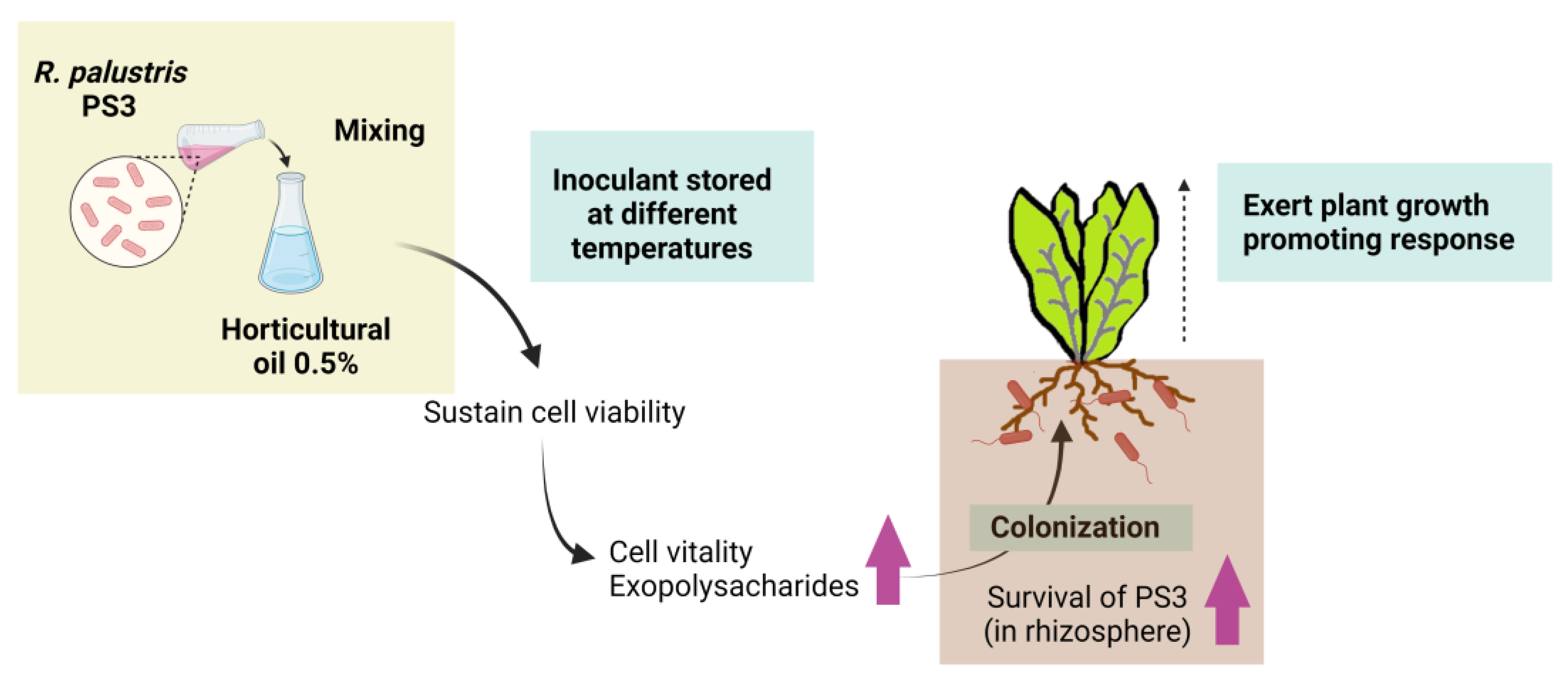 Microorganisms 09 02453 g005 Microorganisms 09 02453 g005