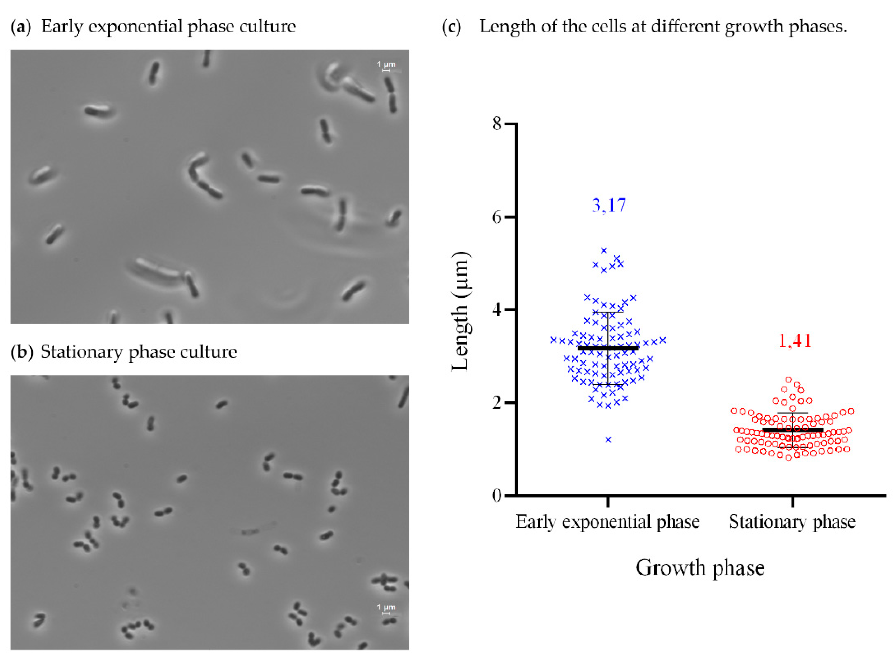 Microorganisms 09 02455 g003 Microorganisms 09 02455 g003