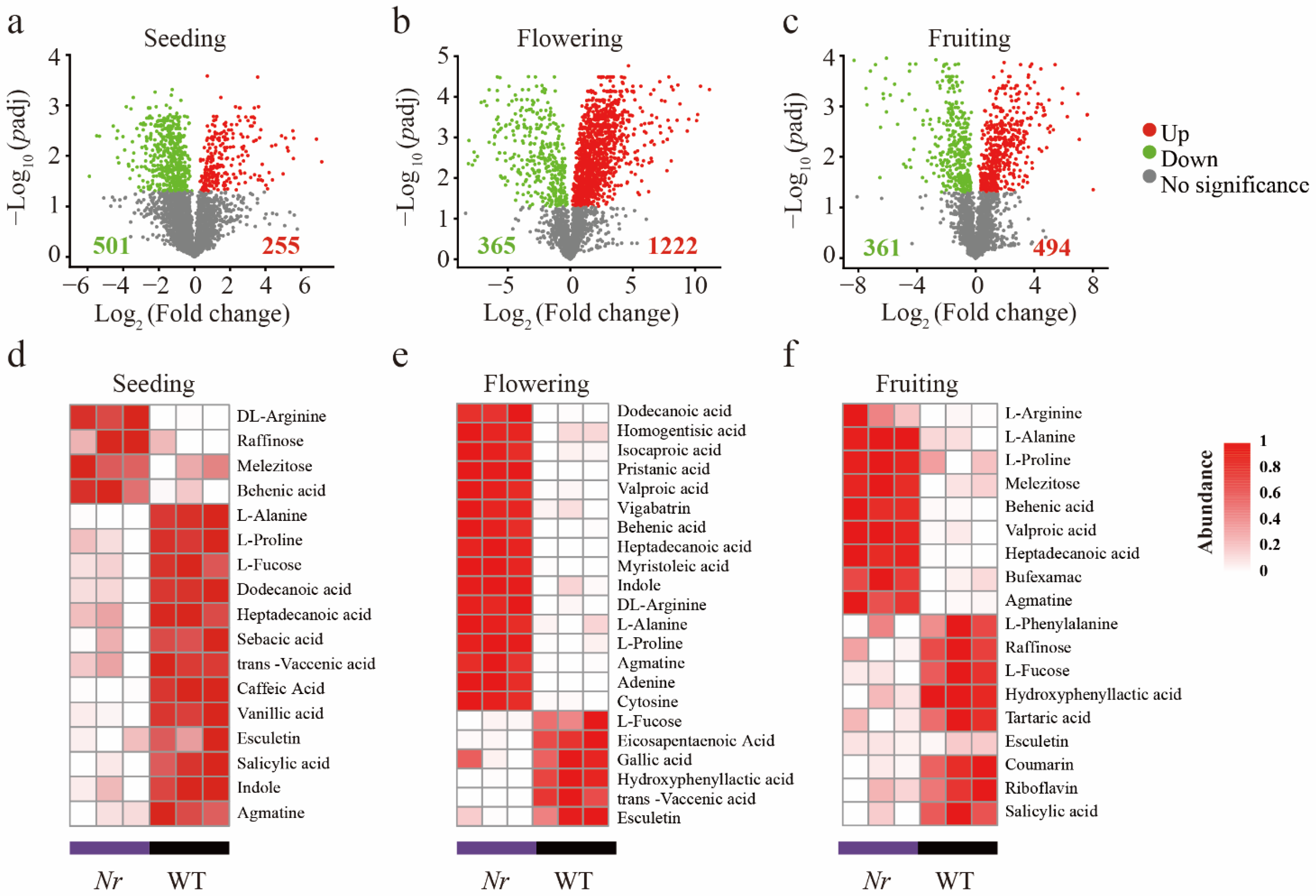 Microorganisms 09 02456 g001
