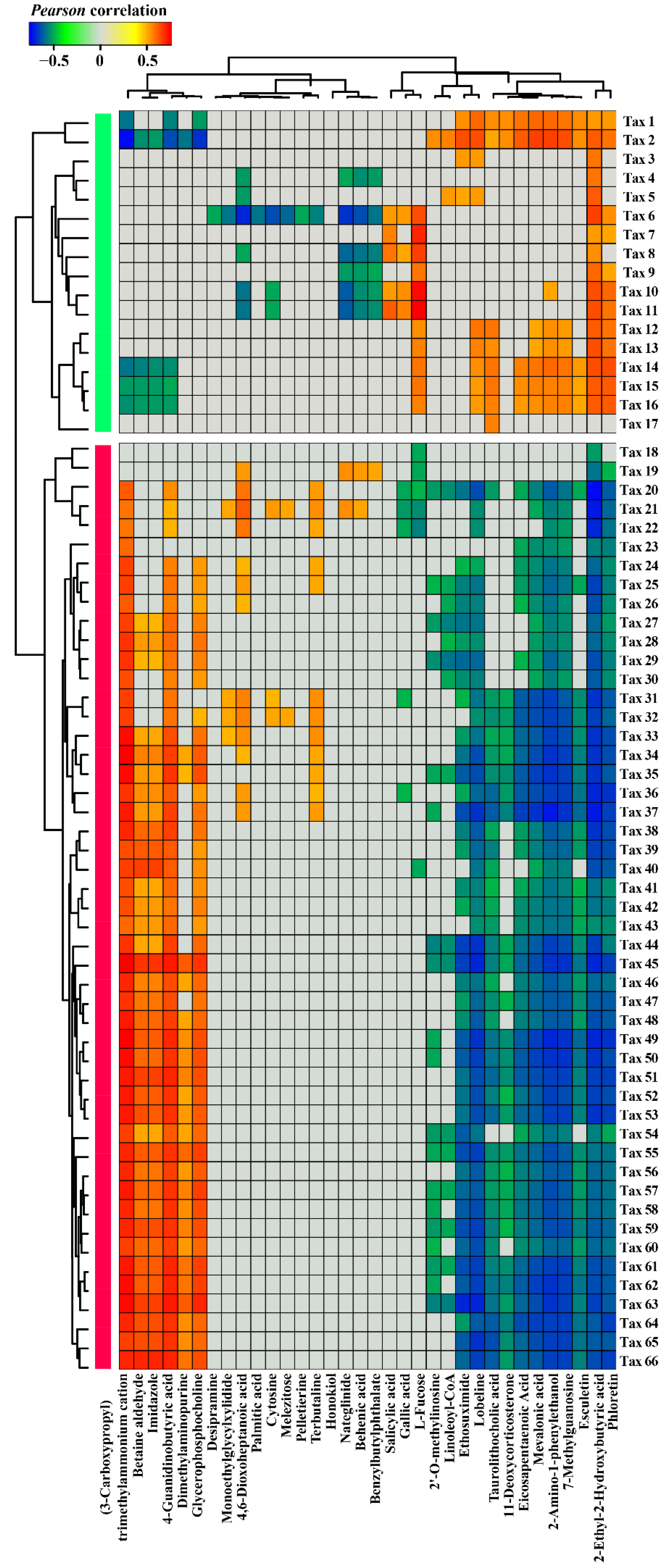 Microorganisms 09 02456 g004