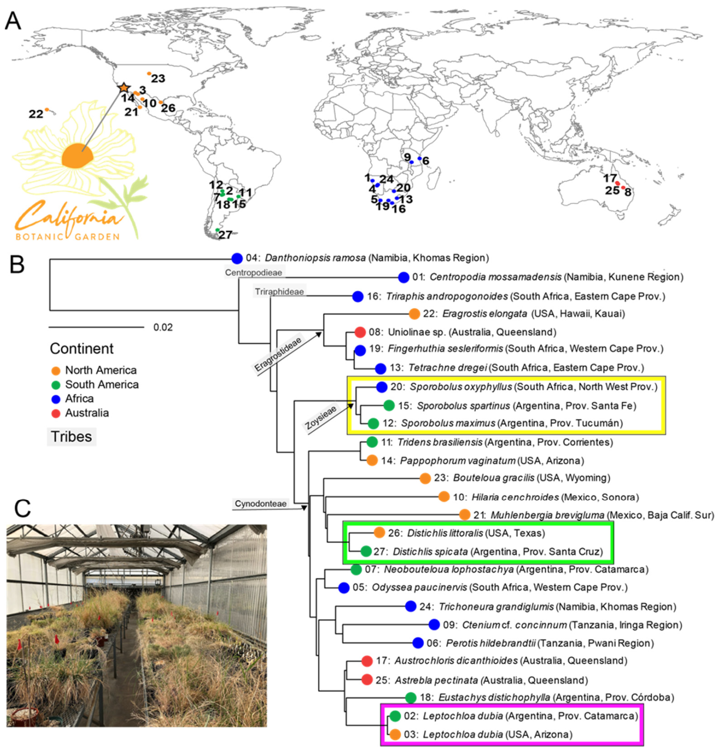 Microorganisms 09 02476 g001