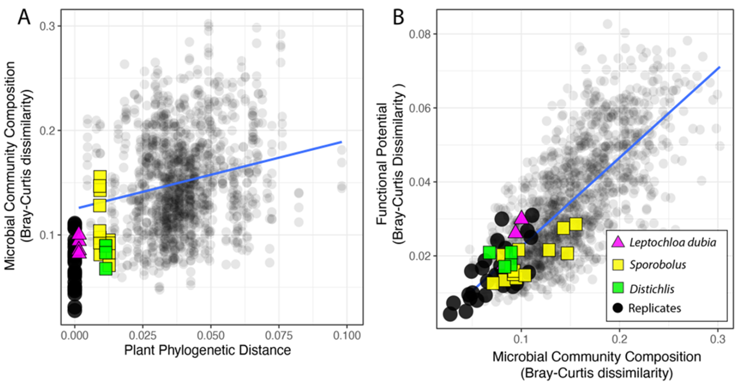 Microorganisms 09 02476 g002