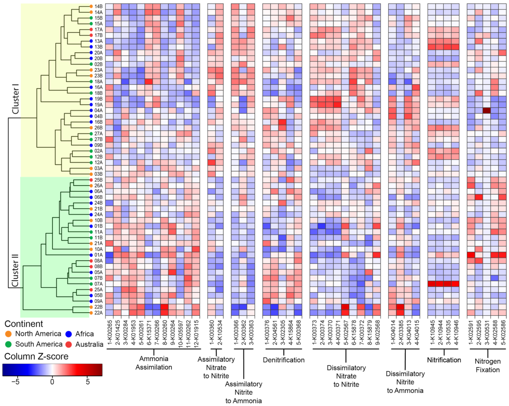 Microorganisms 09 02476 g004