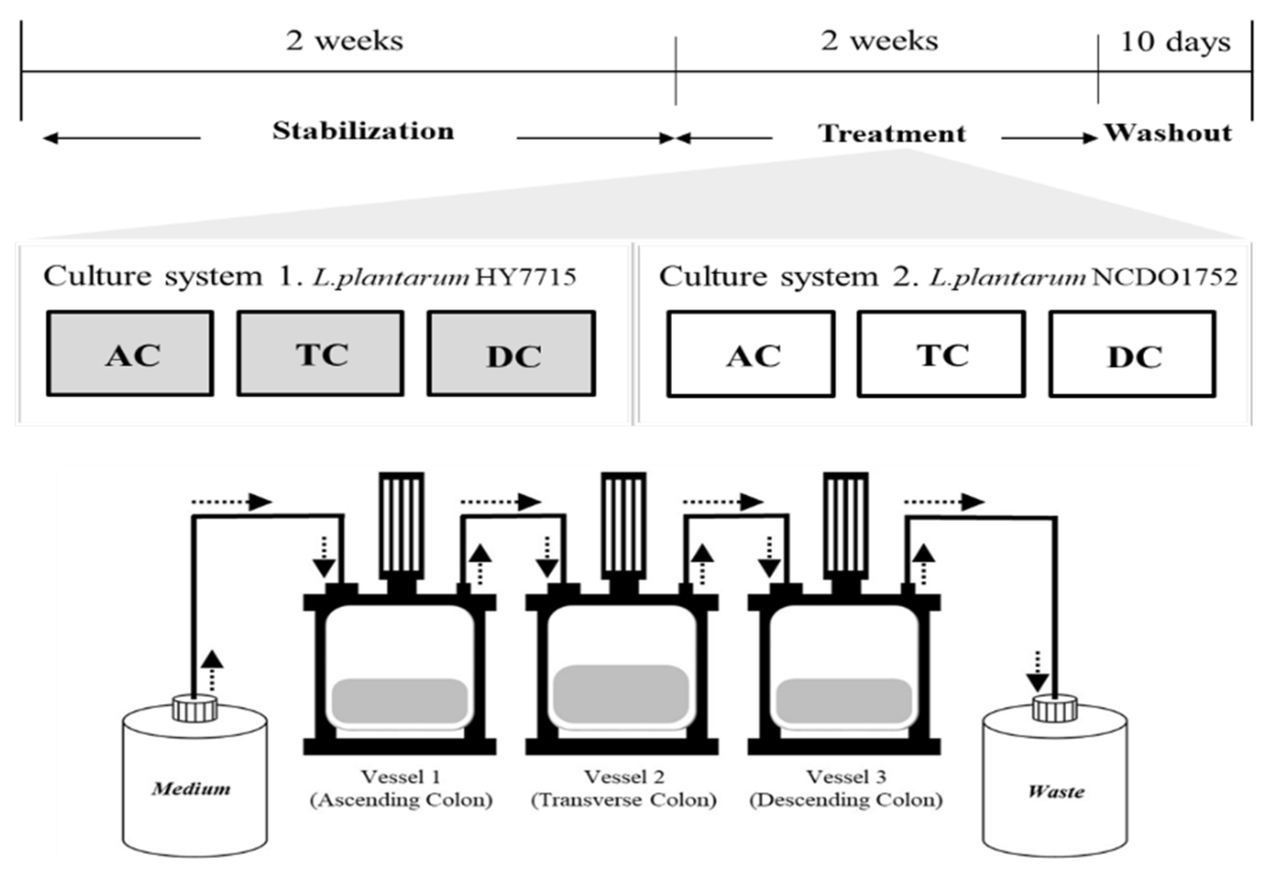 Microorganisms 09 02478 g001 550
