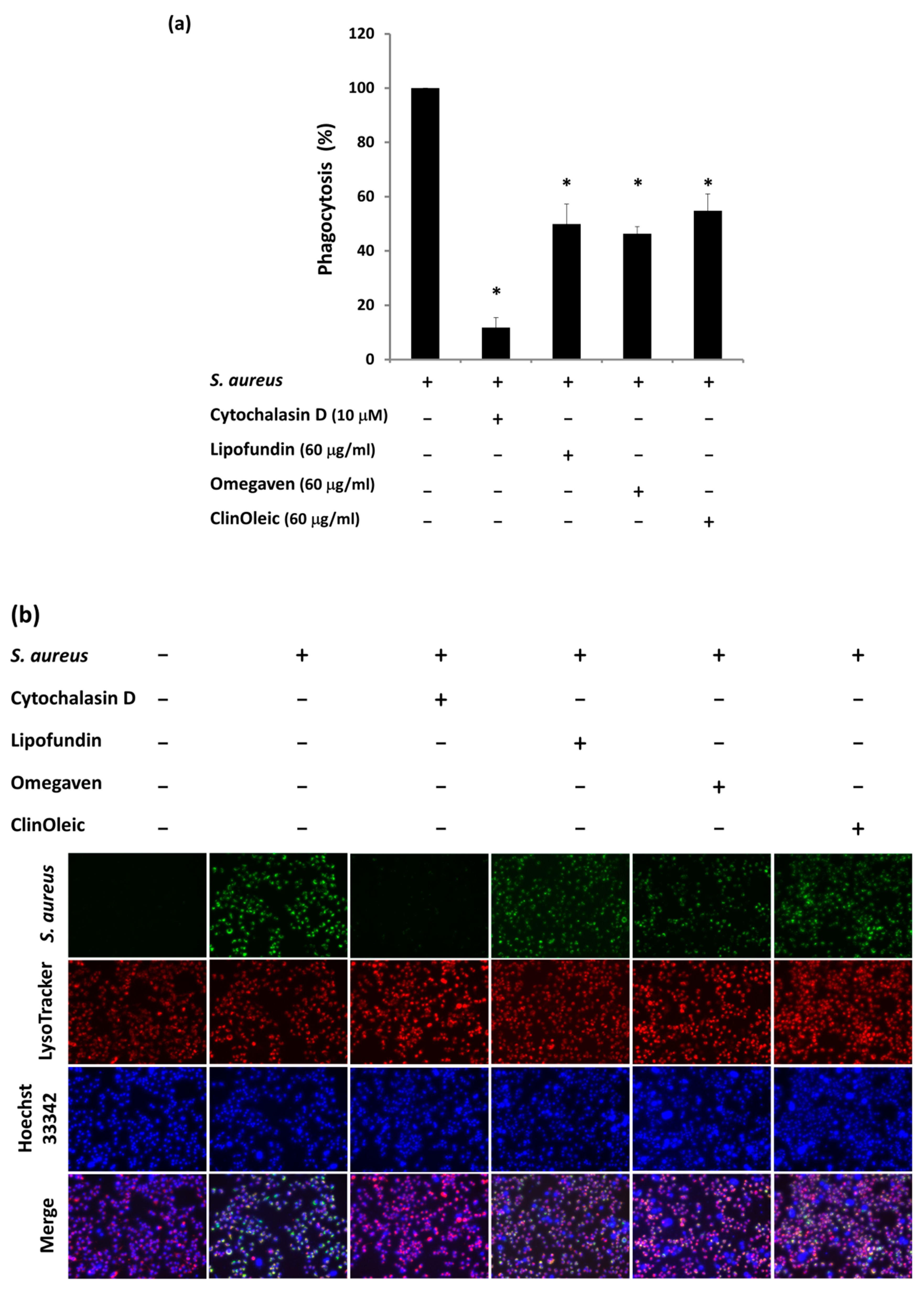 Microorganisms 09 02479 g003 550