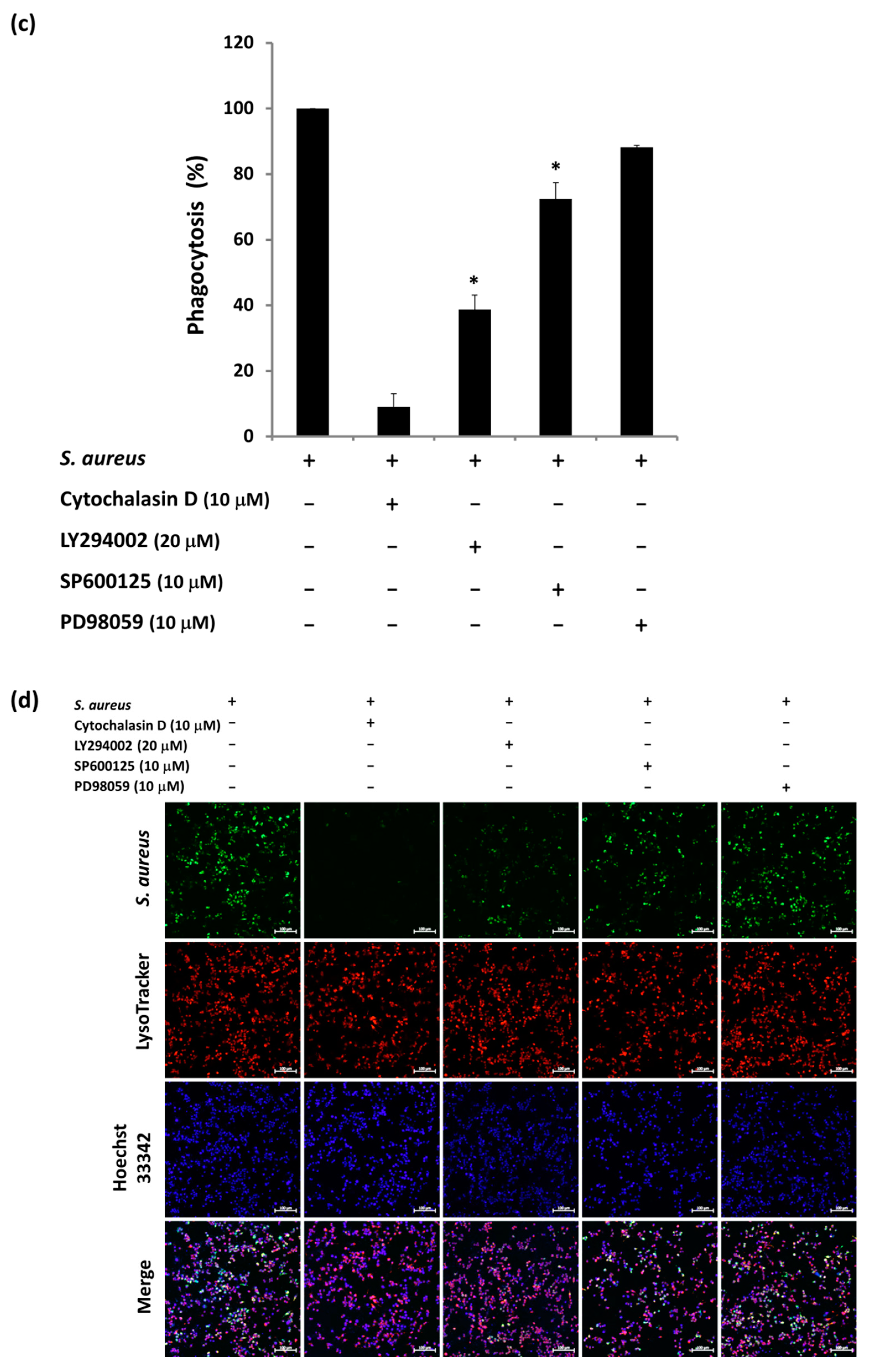 Microorganisms 09 02479 g005b 550