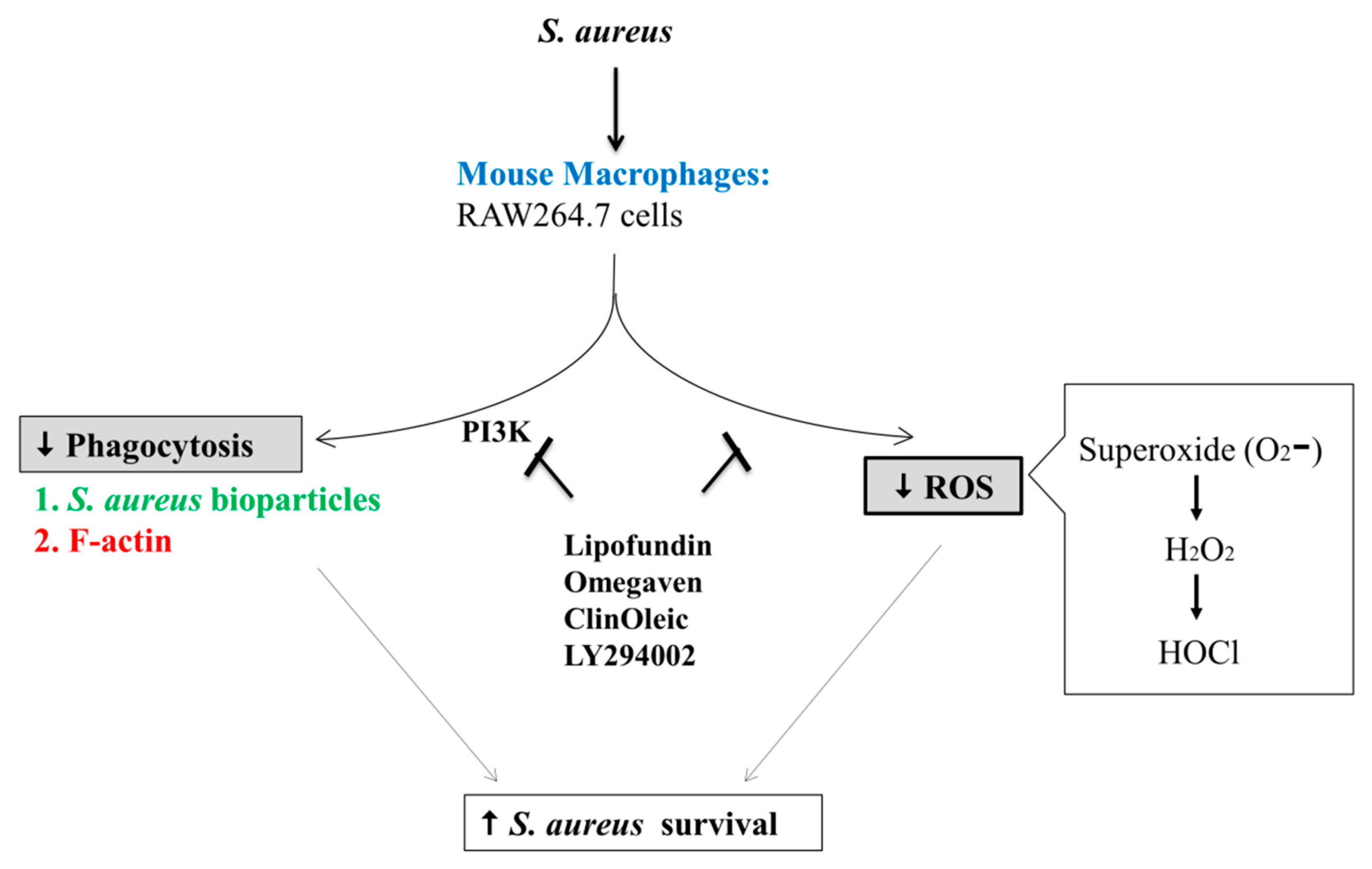 Microorganisms 09 02479 g006 550