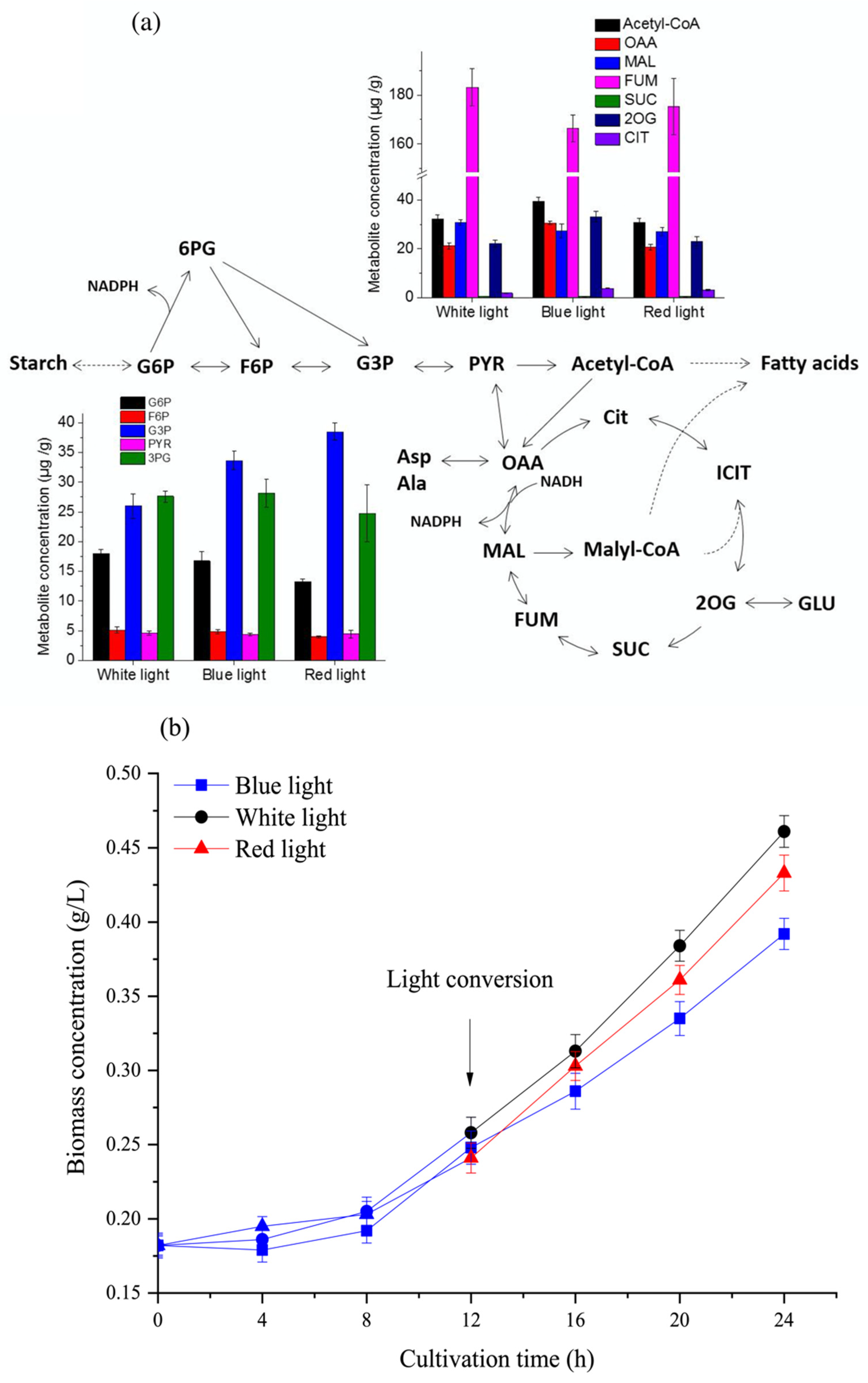 Microorganisms 09 02480 g006 550
