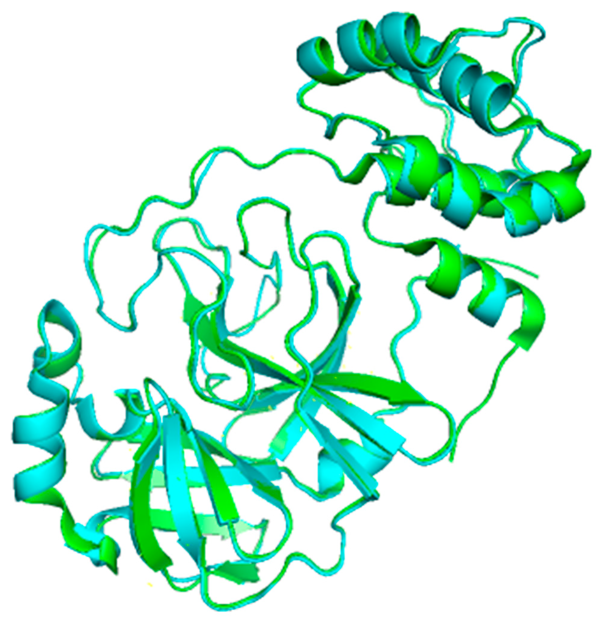 Microorganisms 09 02481 g005
