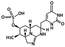 Microorganisms 09 02481 i008