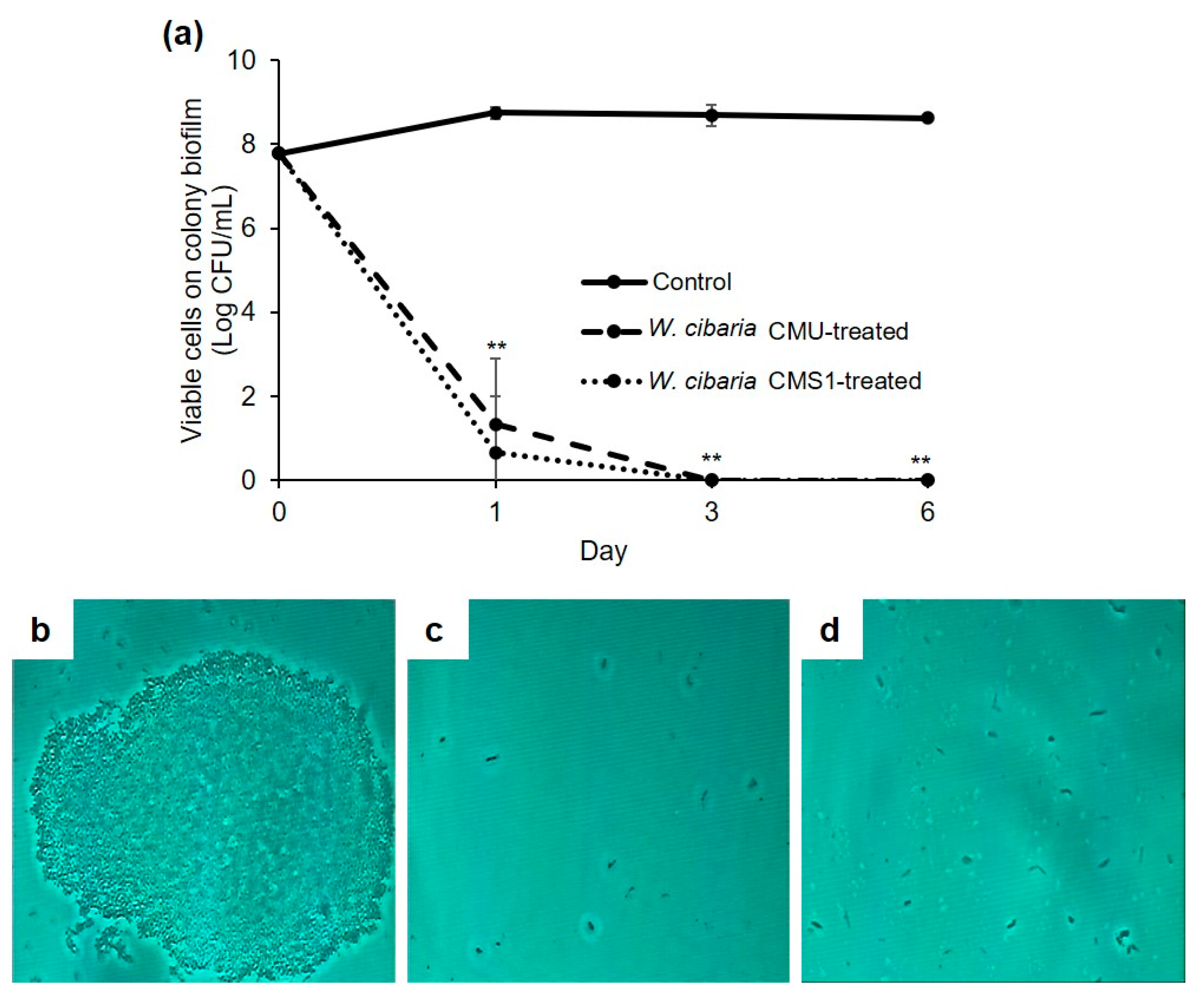 Microorganisms 09 02482 g002 550