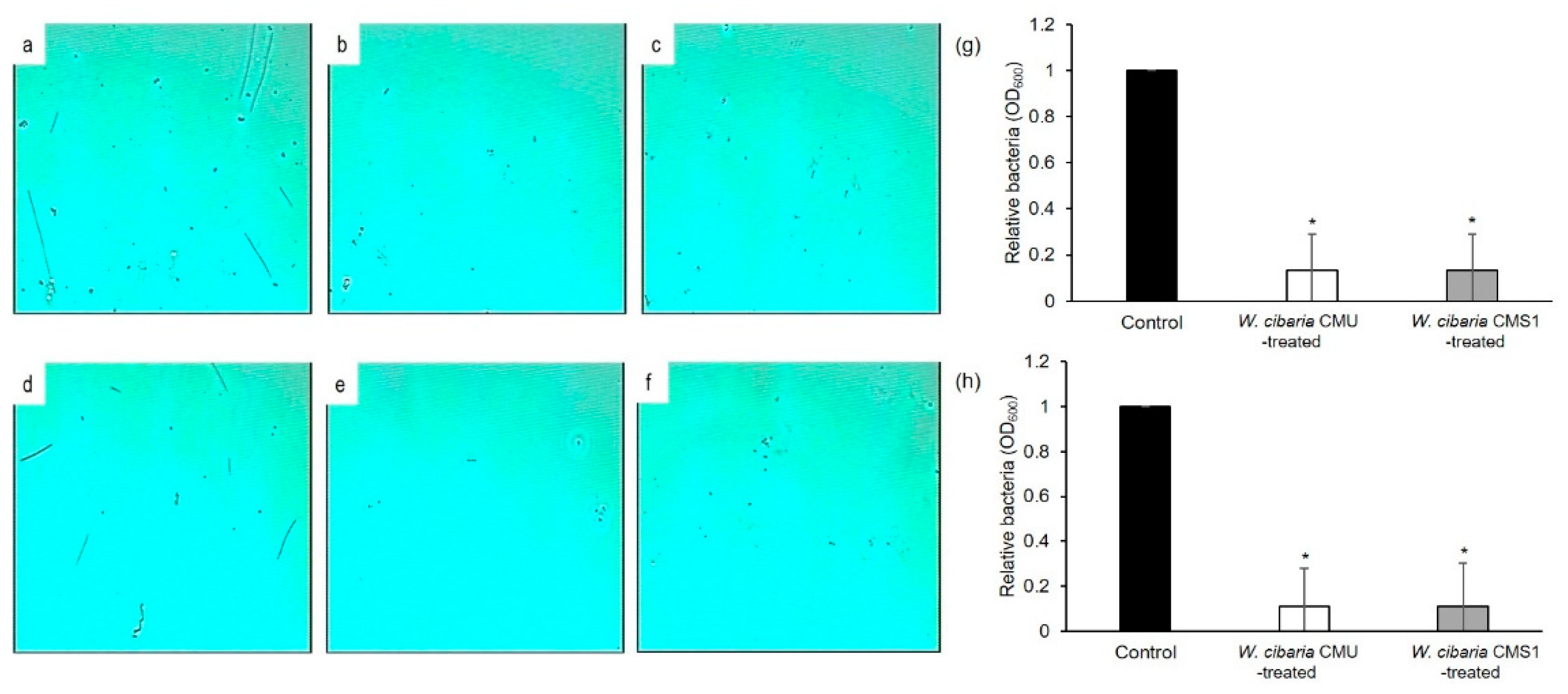 Microorganisms 09 02482 g005 550