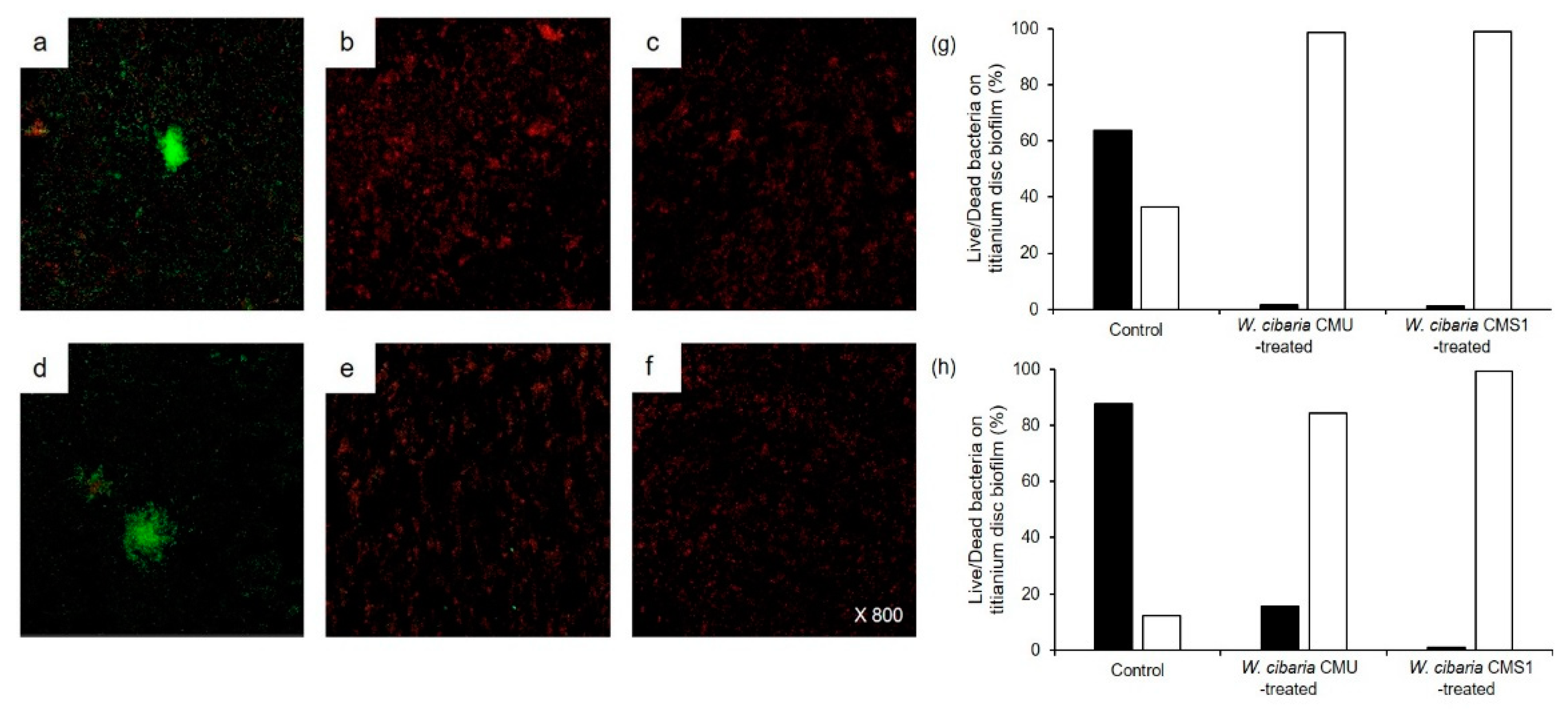 Microorganisms 09 02482 g007 550