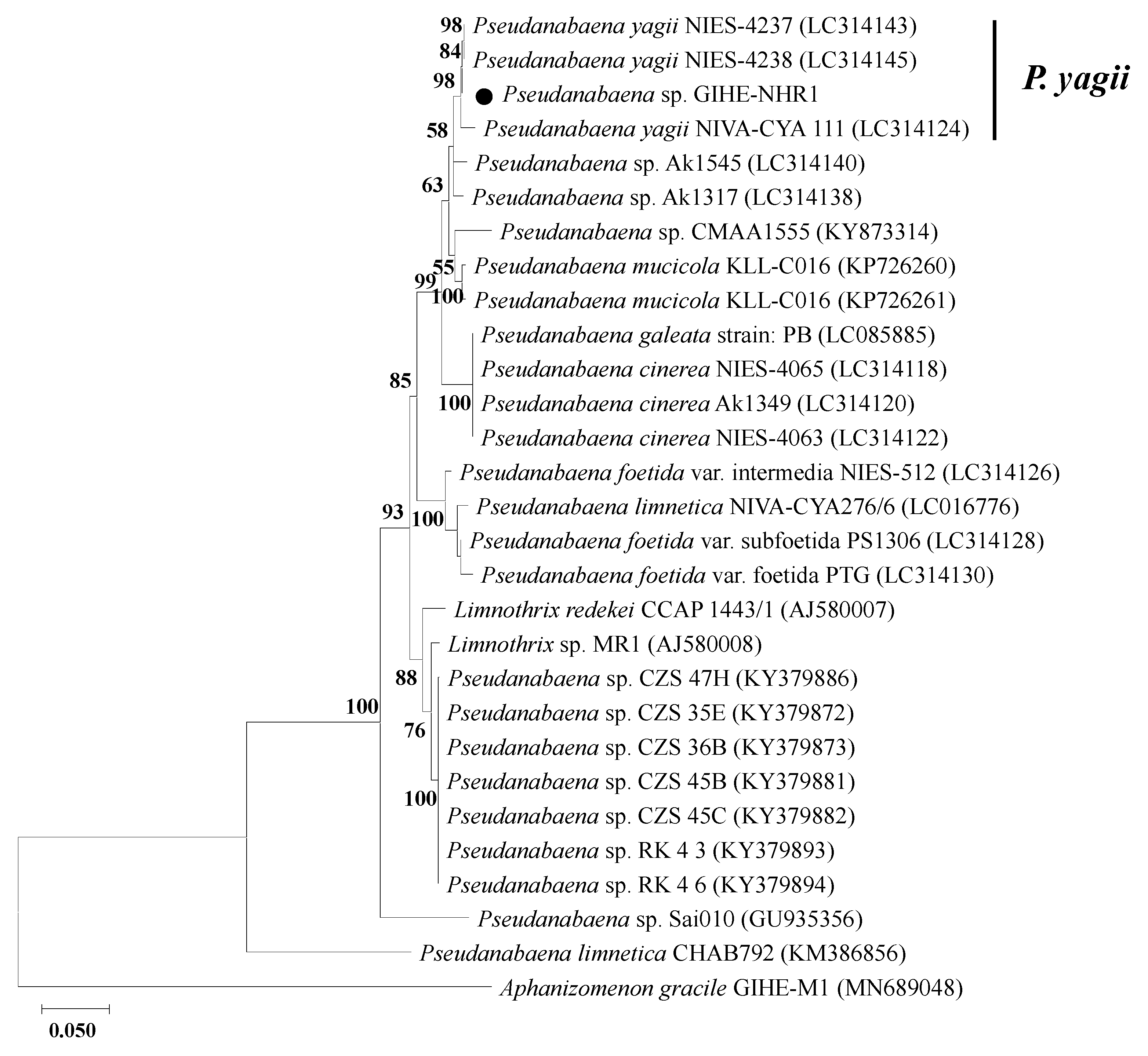 Microorganisms 09 02486 g005