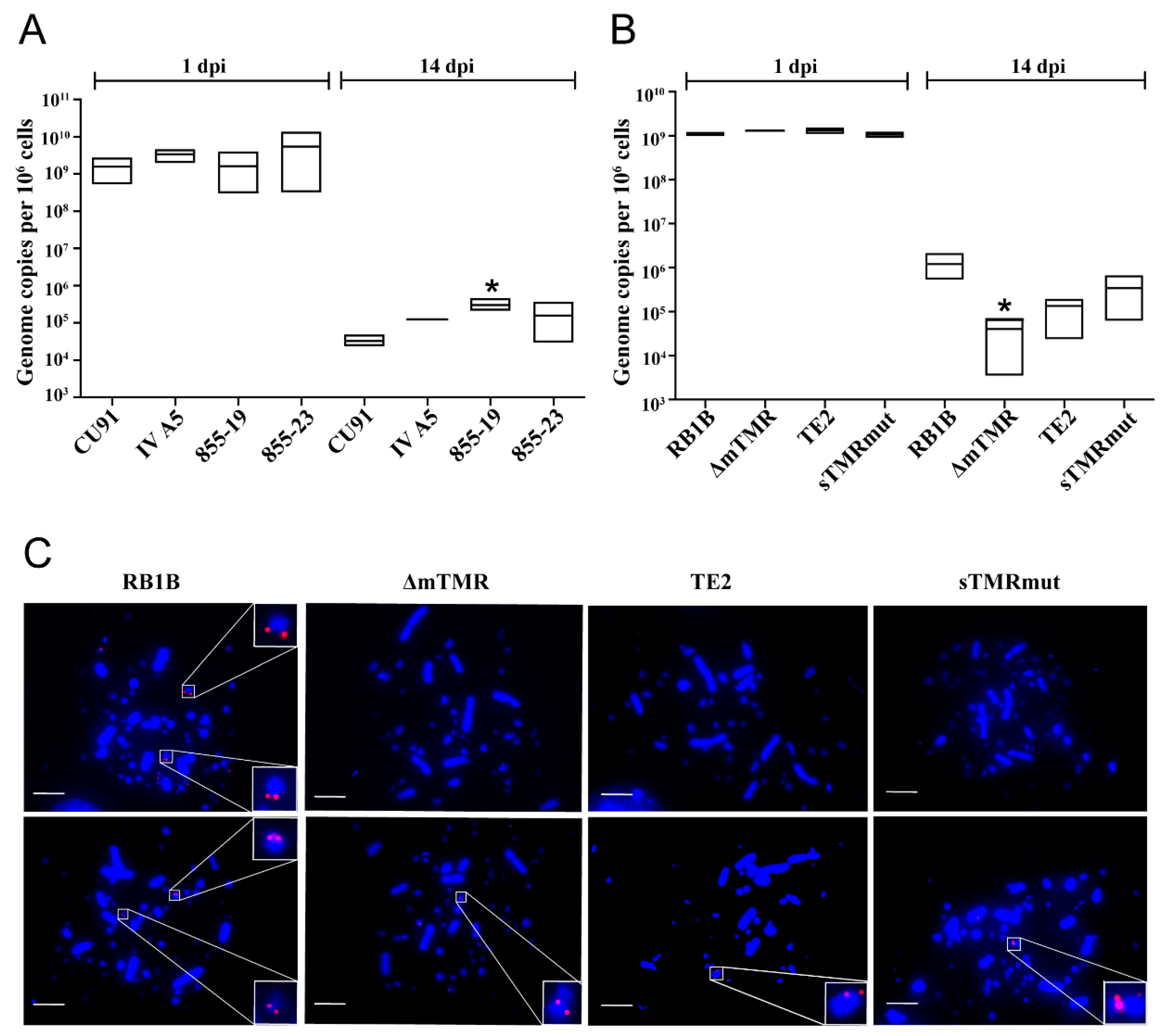 Microorganisms 09 02489 g003 550