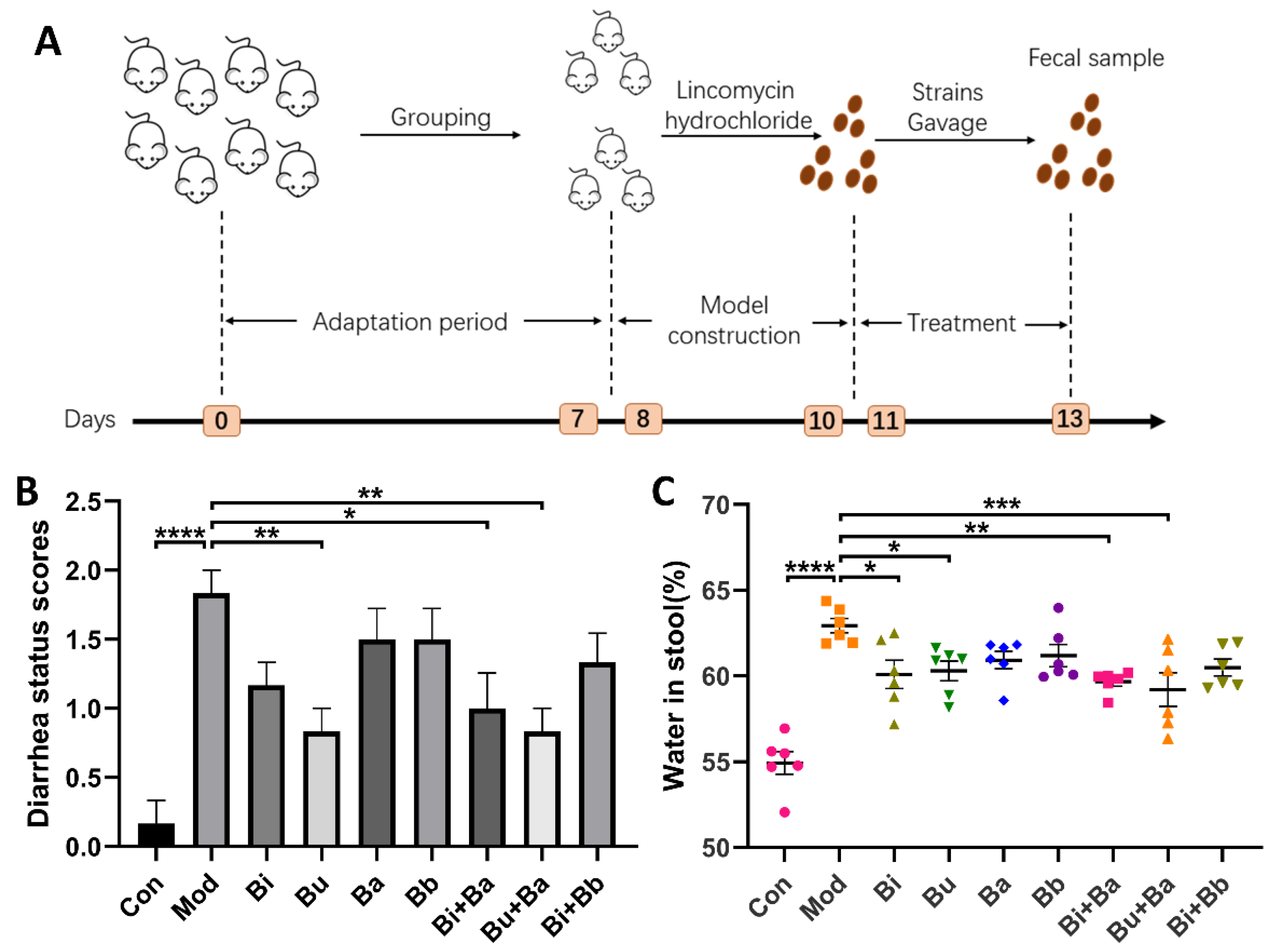Microorganisms 09 02492 g001