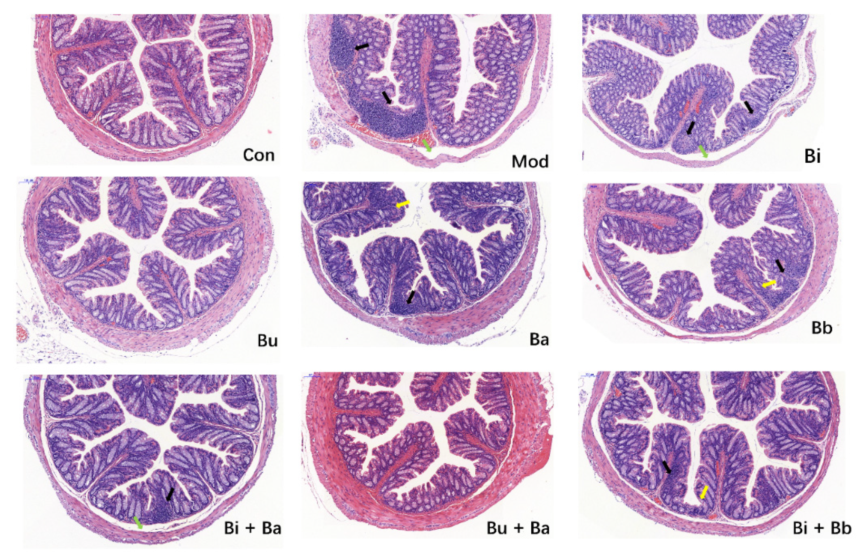 Microorganisms 09 02492 g002